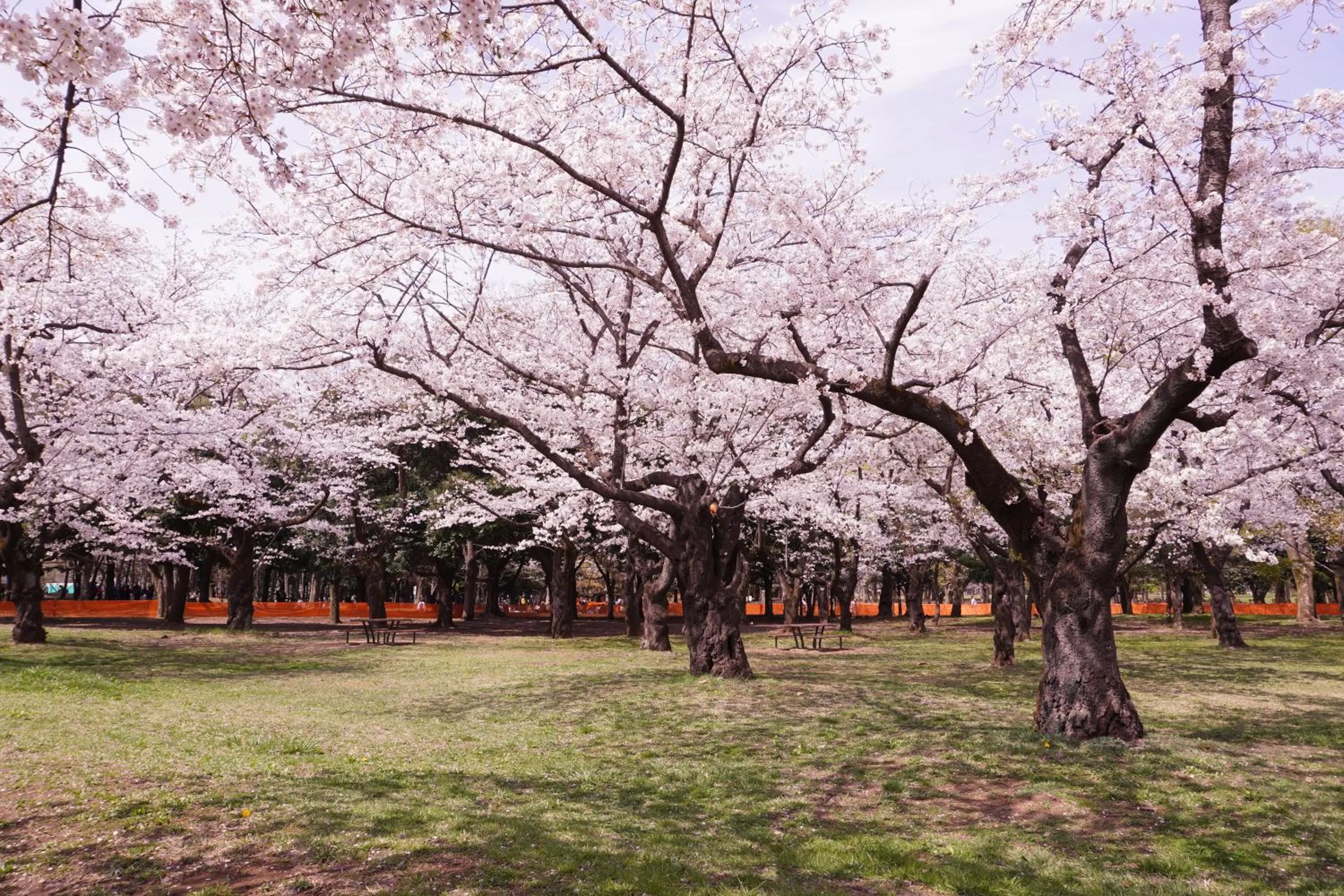 Nearby landmark in MIMARU Tokyo Shinjuku West