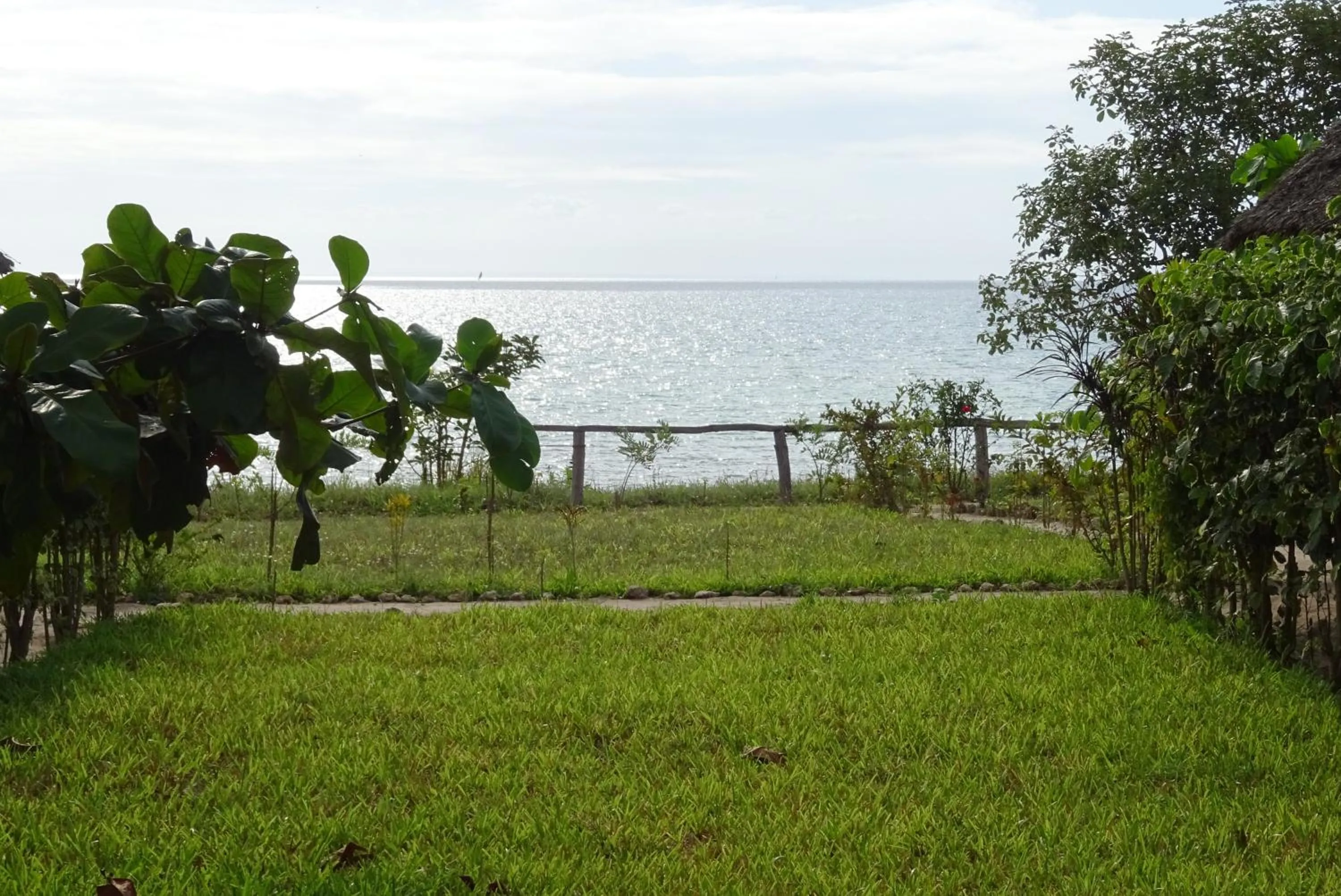 View (from property/room) in Jabar Lodge