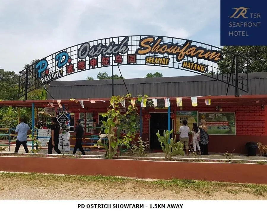 Activities in TSR Seafront Hotel