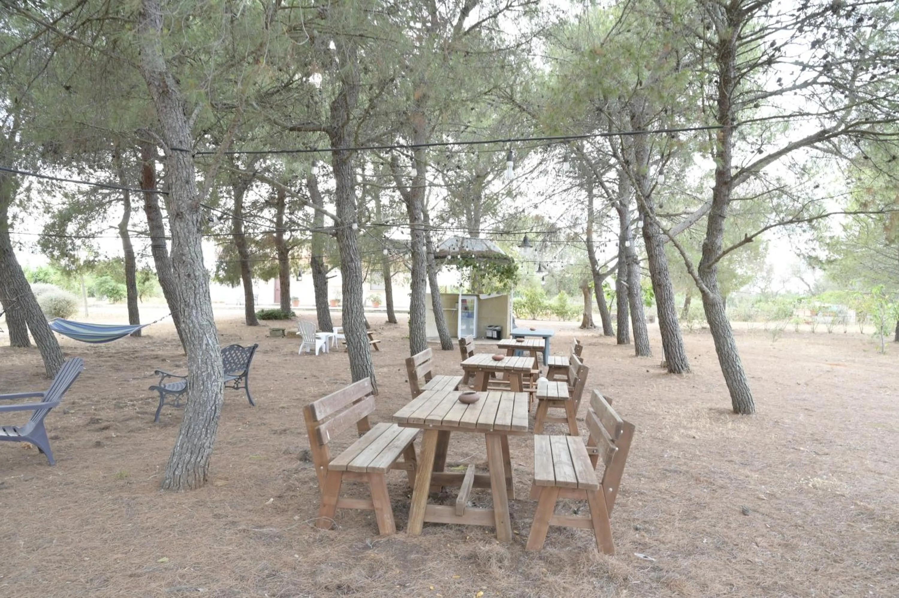 Garden in Villa Delle Palme