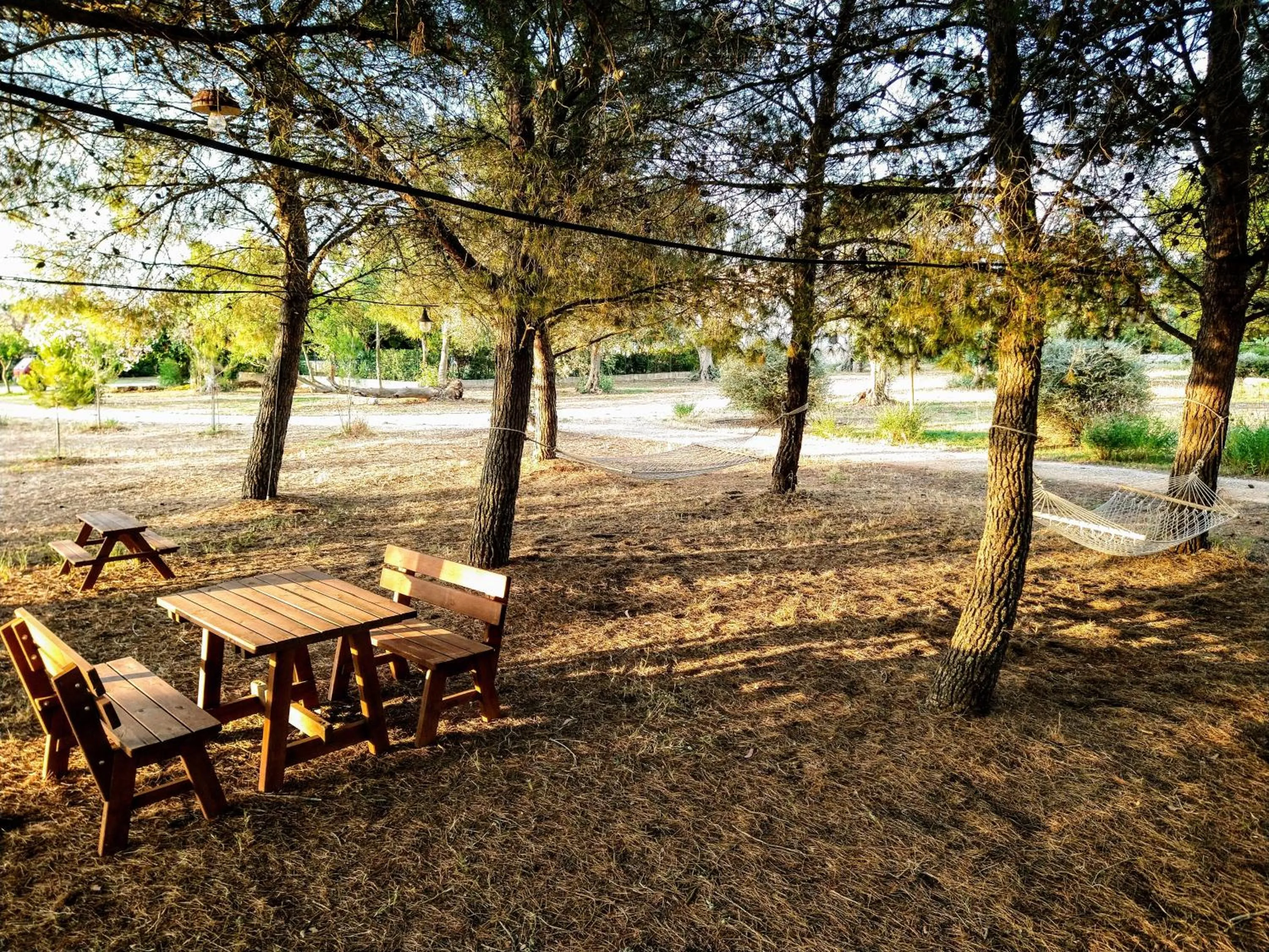 Natural landscape in Villa Delle Palme