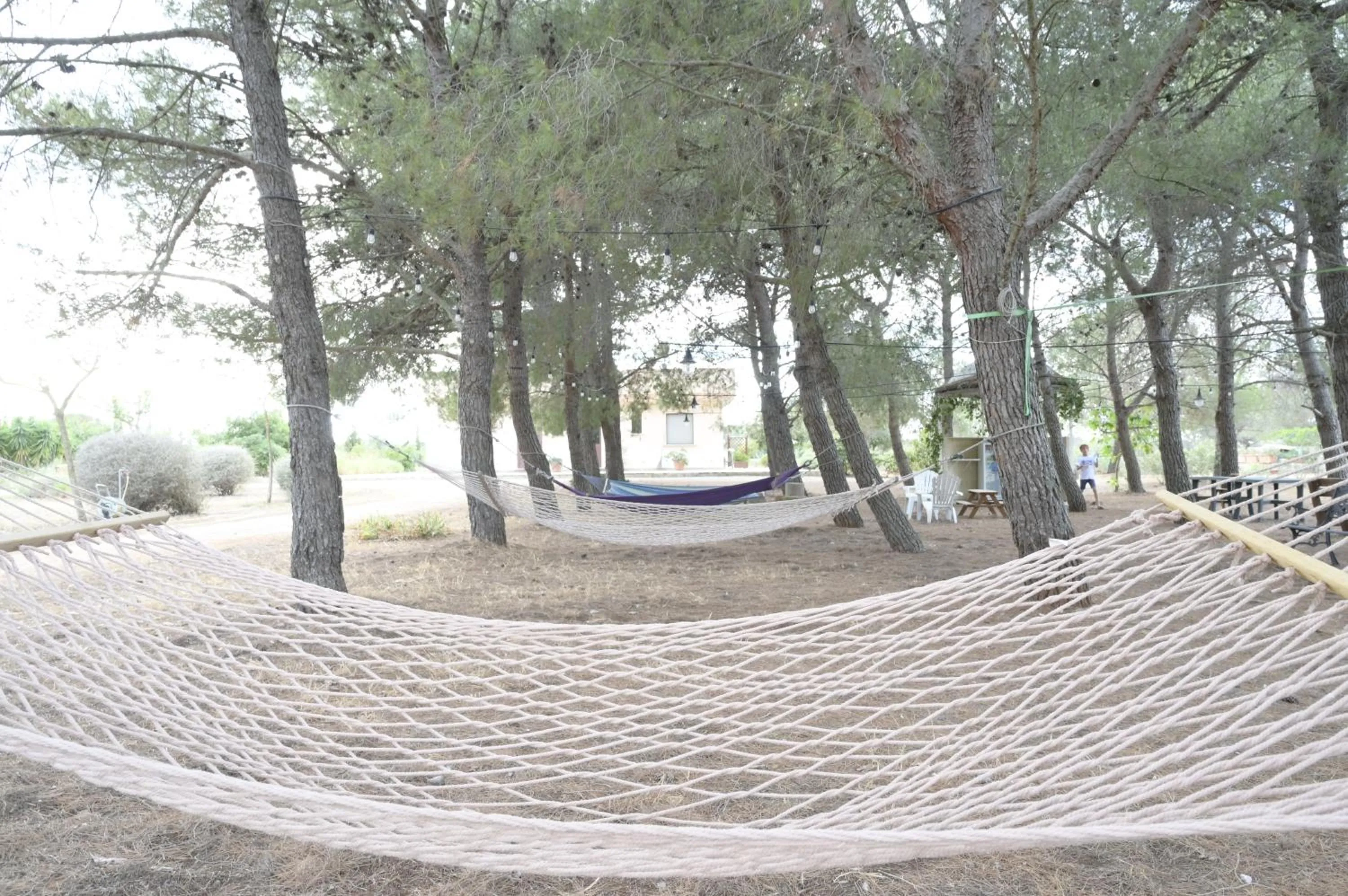 Garden in Villa Delle Palme