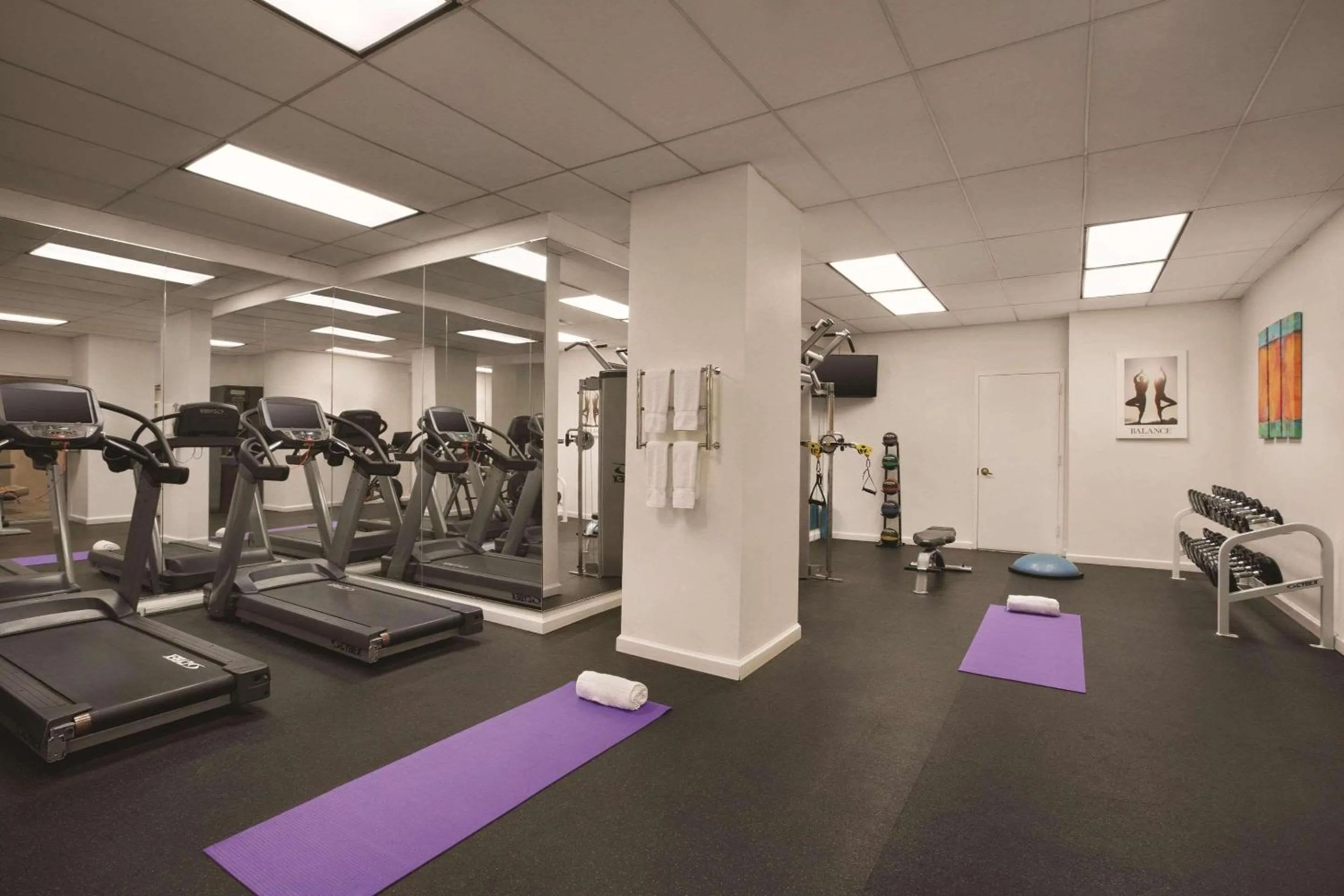 Fitness centre/facilities, Fitness Center/Facilities in Radisson Hotel New York Wall Street
