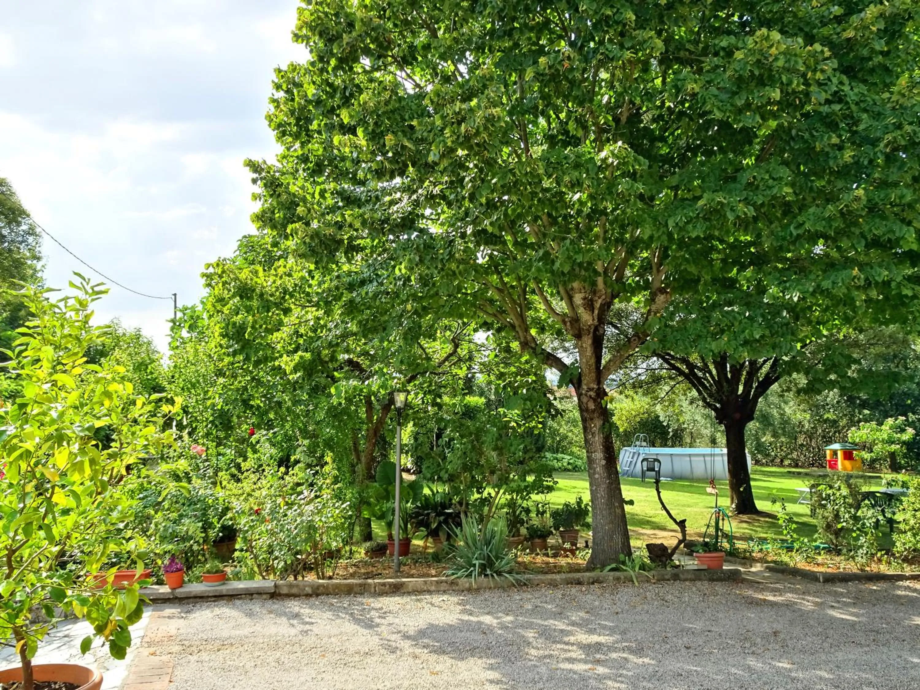 Garden in Casa Dina