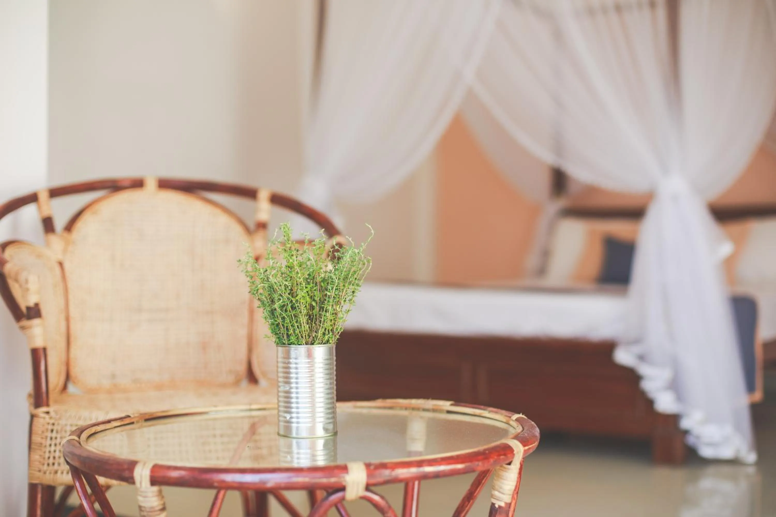 Seating area, Bed in Rise - Bed & Breakfast