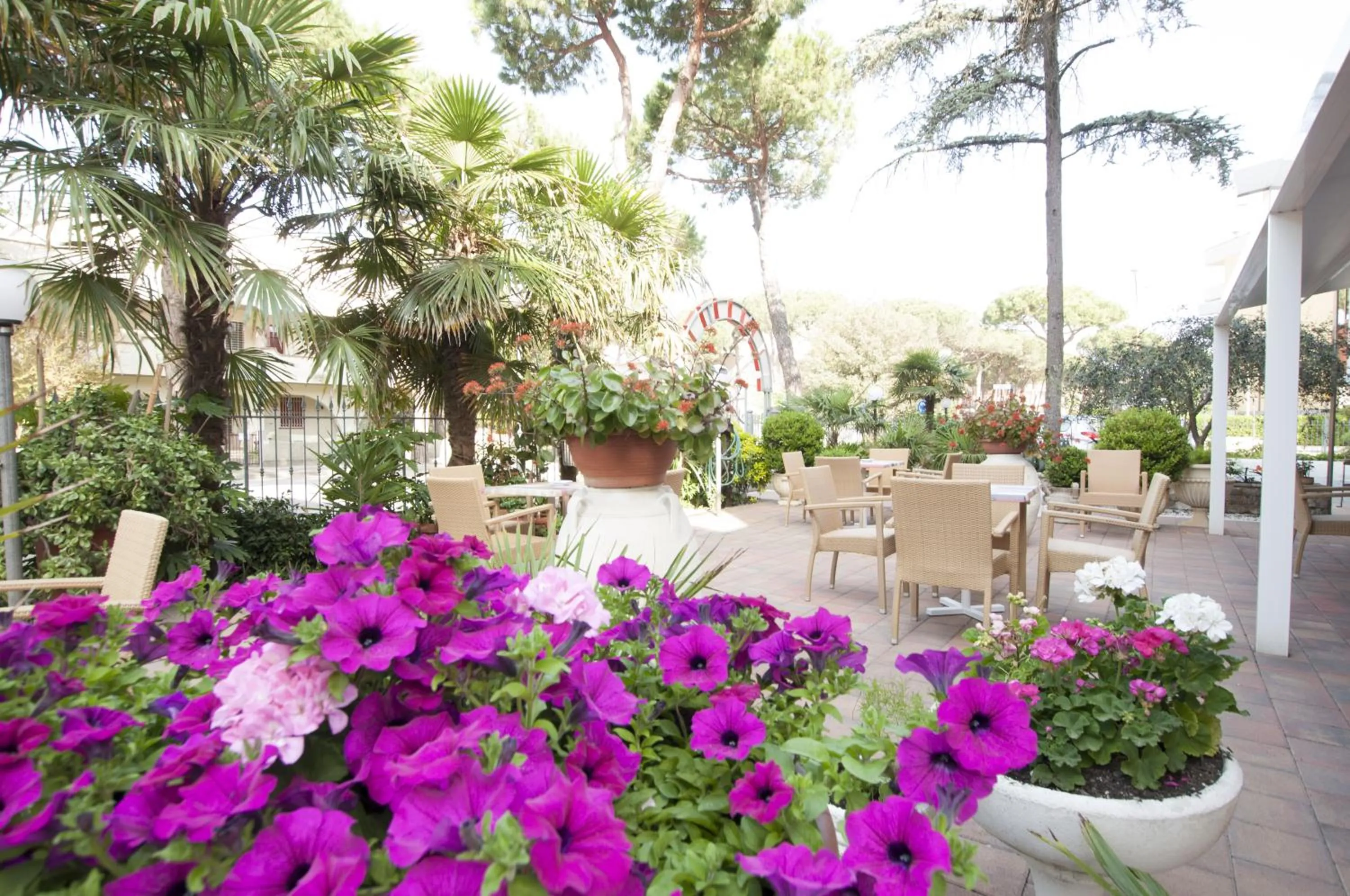 Patio in Hotel Edelweiss