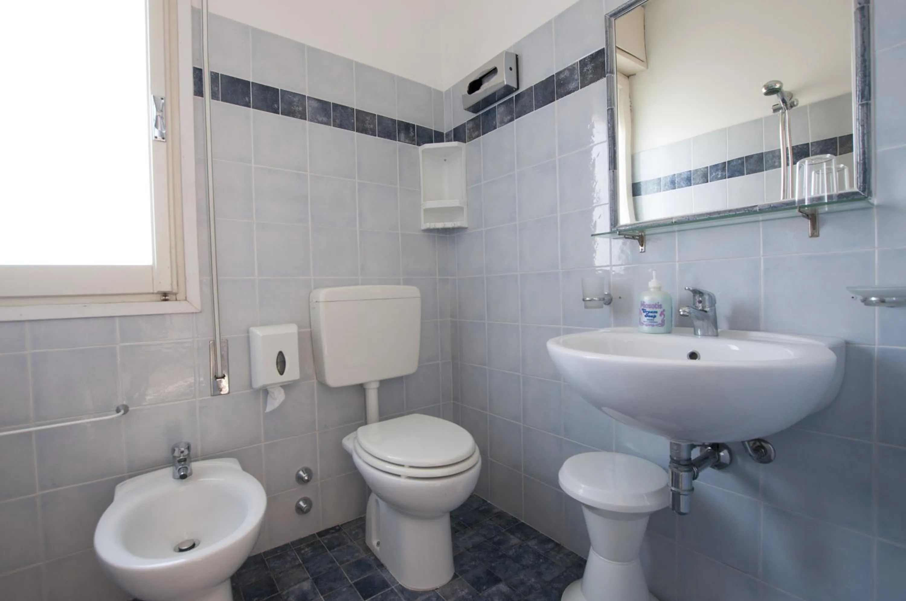 Toilet in Hotel Edelweiss