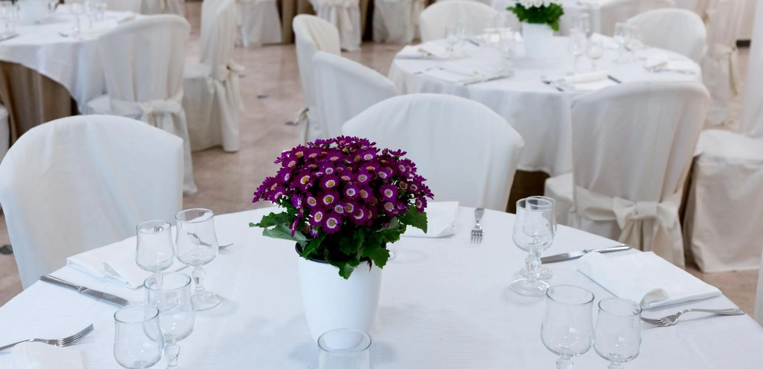 Restaurant/places to eat in Hotel Il Gambero