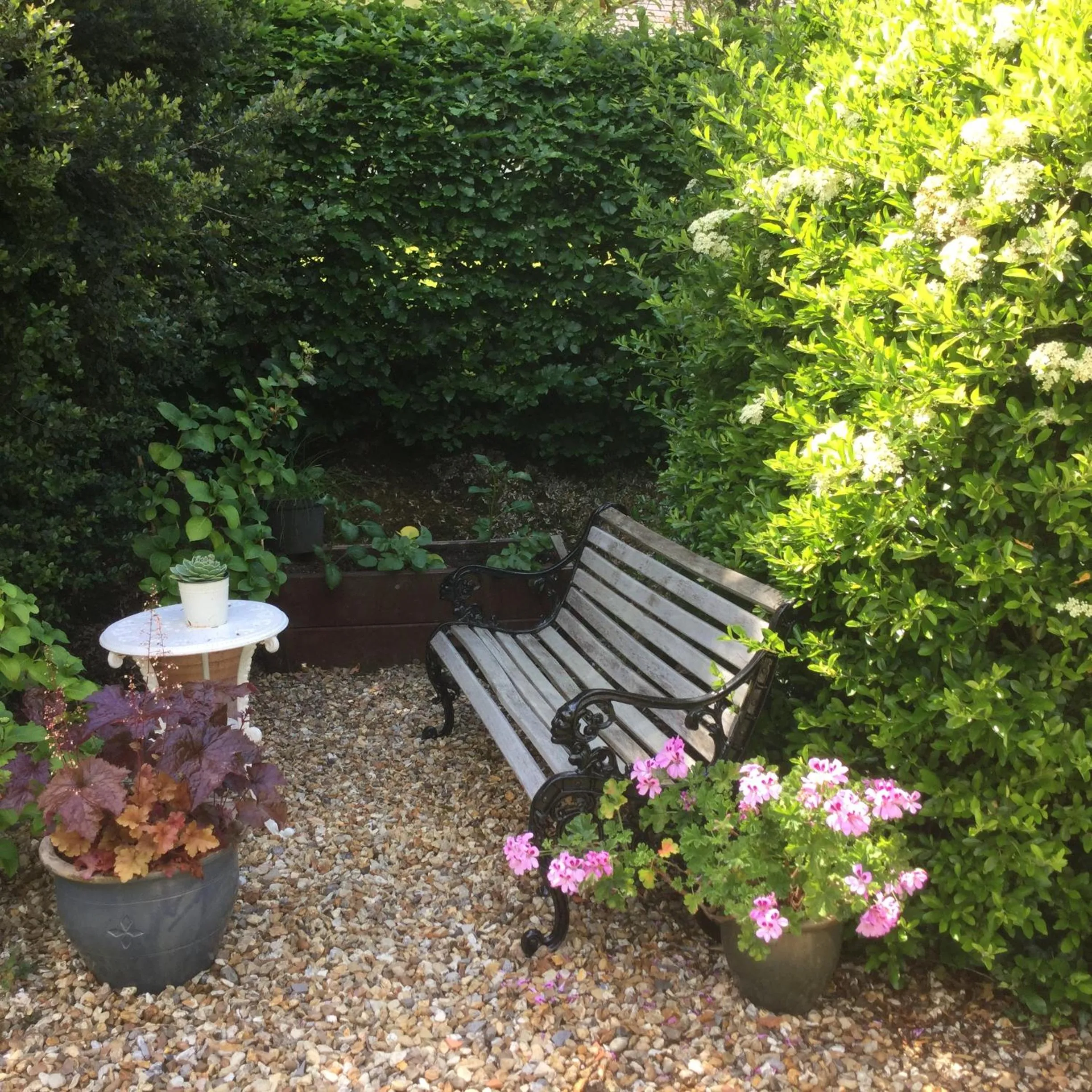 Dwynant - A Room with a View