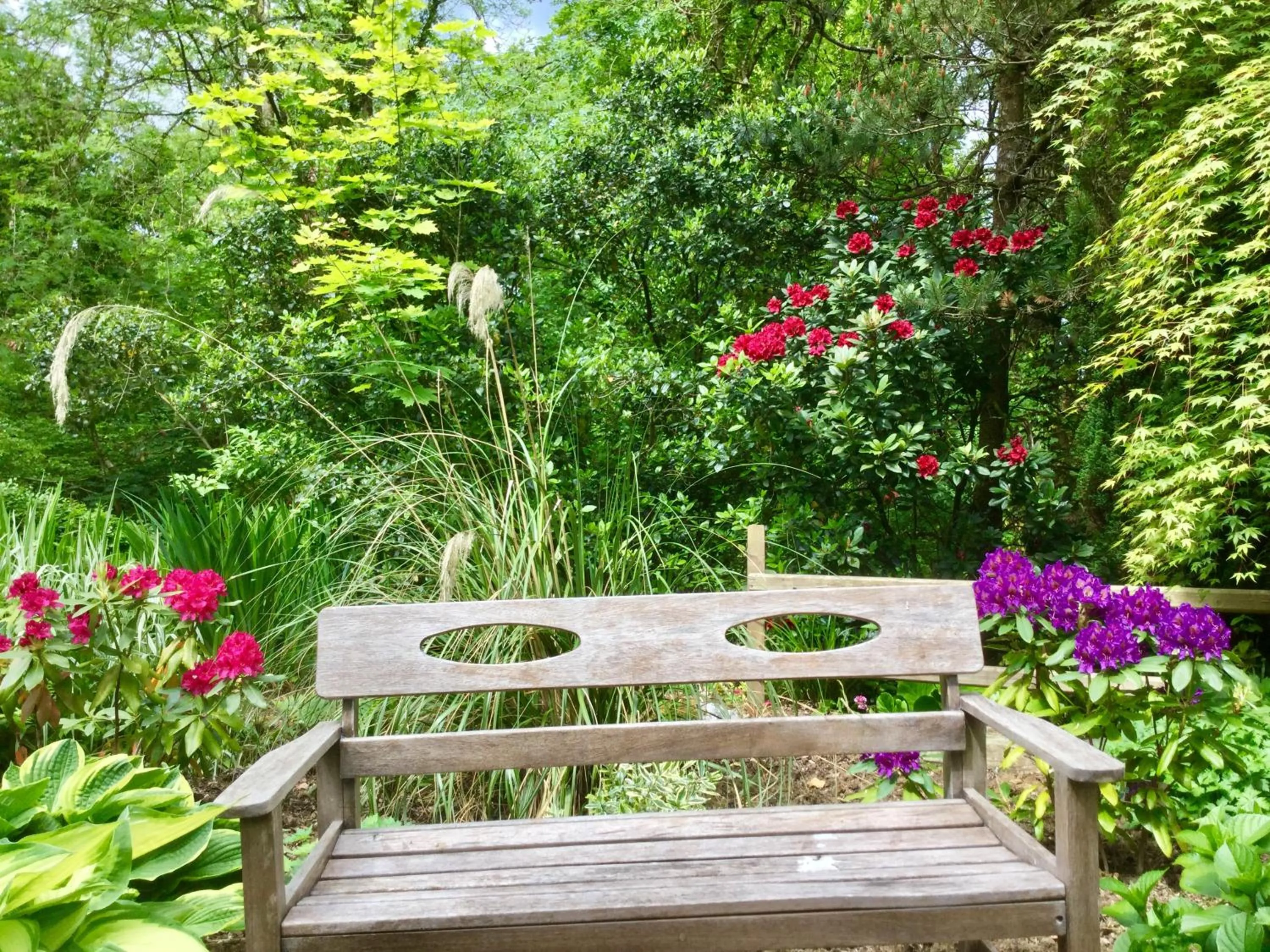 Dwynant - A Room with a View