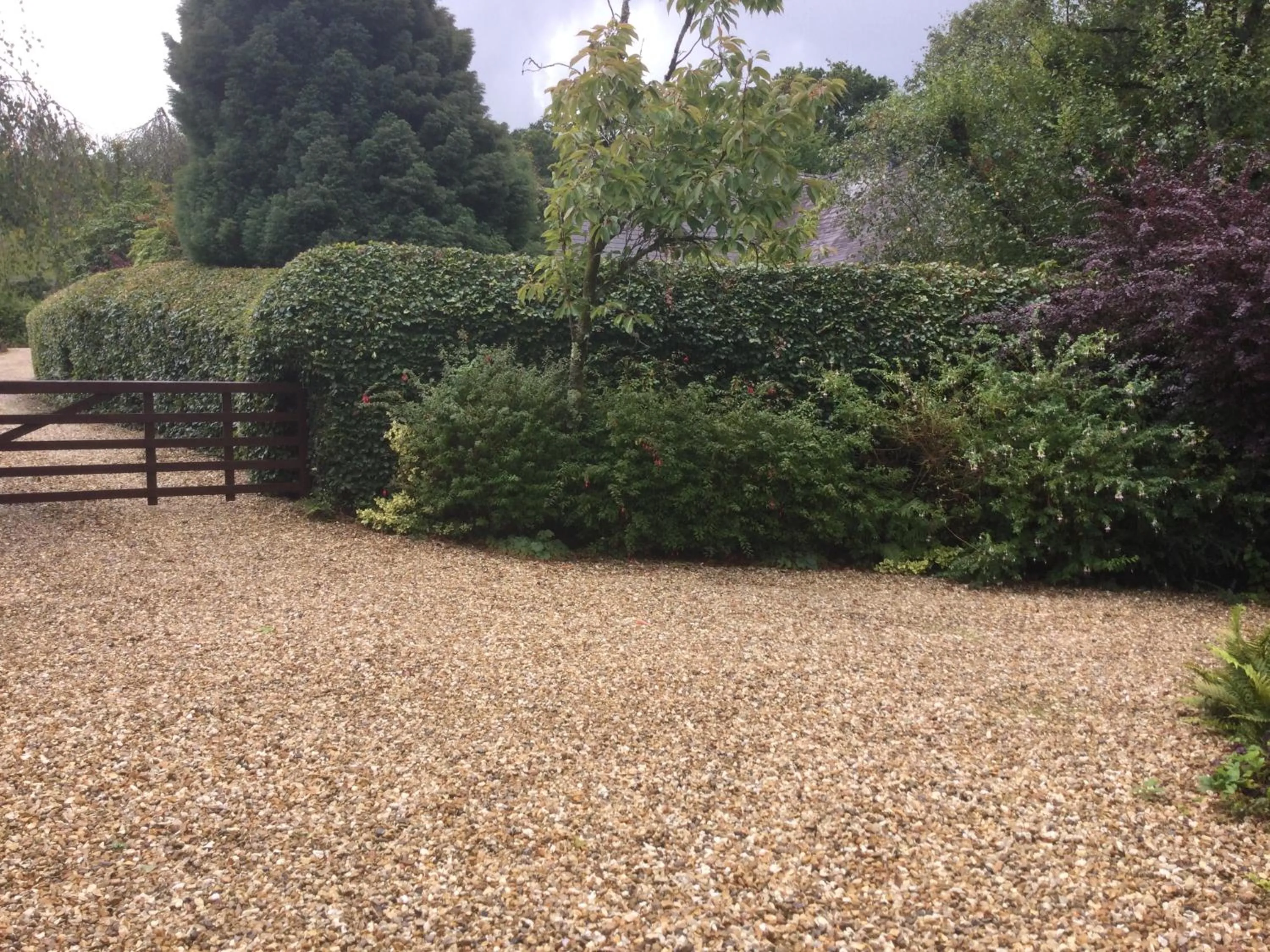 Parking in Dwynant - A Room with a View