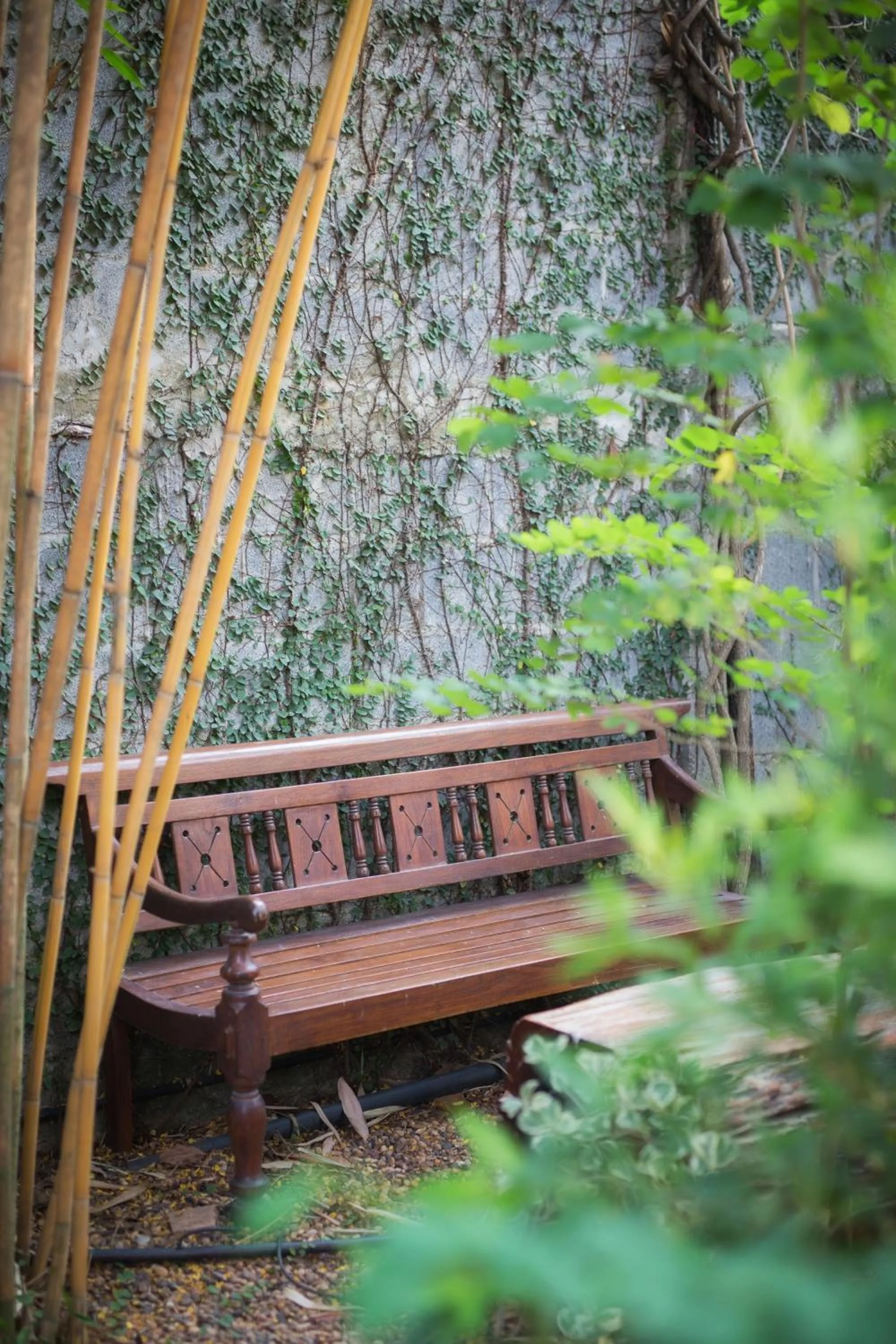 Garden in Cattani's Riverside Home