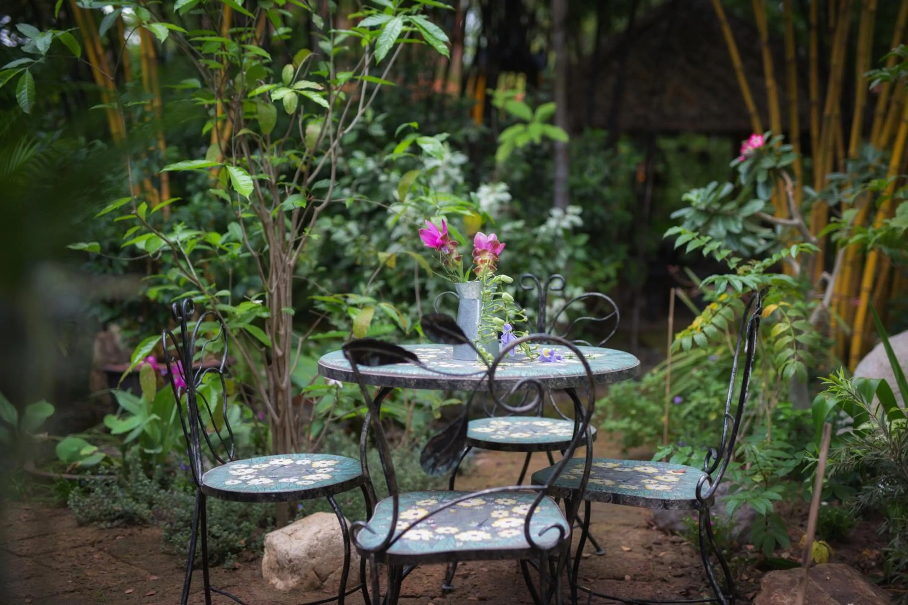 Garden in Cattani's Riverside Home