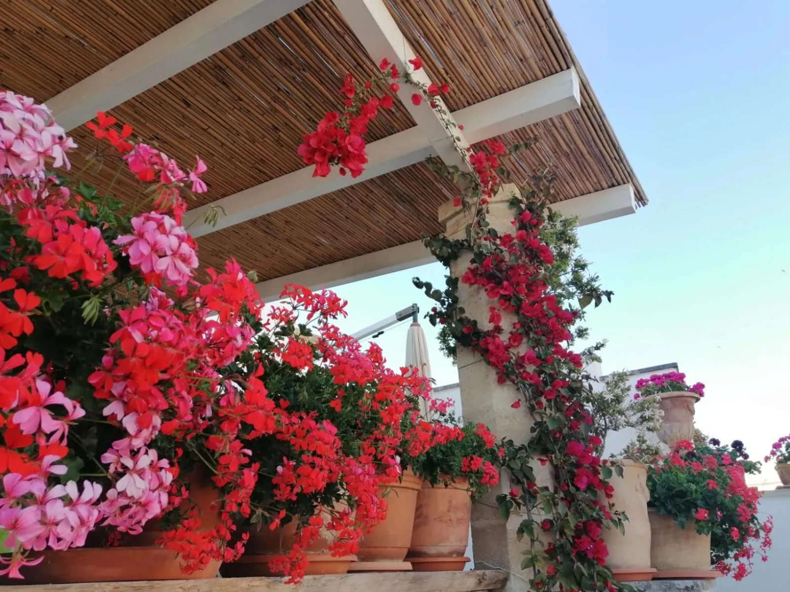 Balcony/Terrace in Anticadimora Dei Pepe