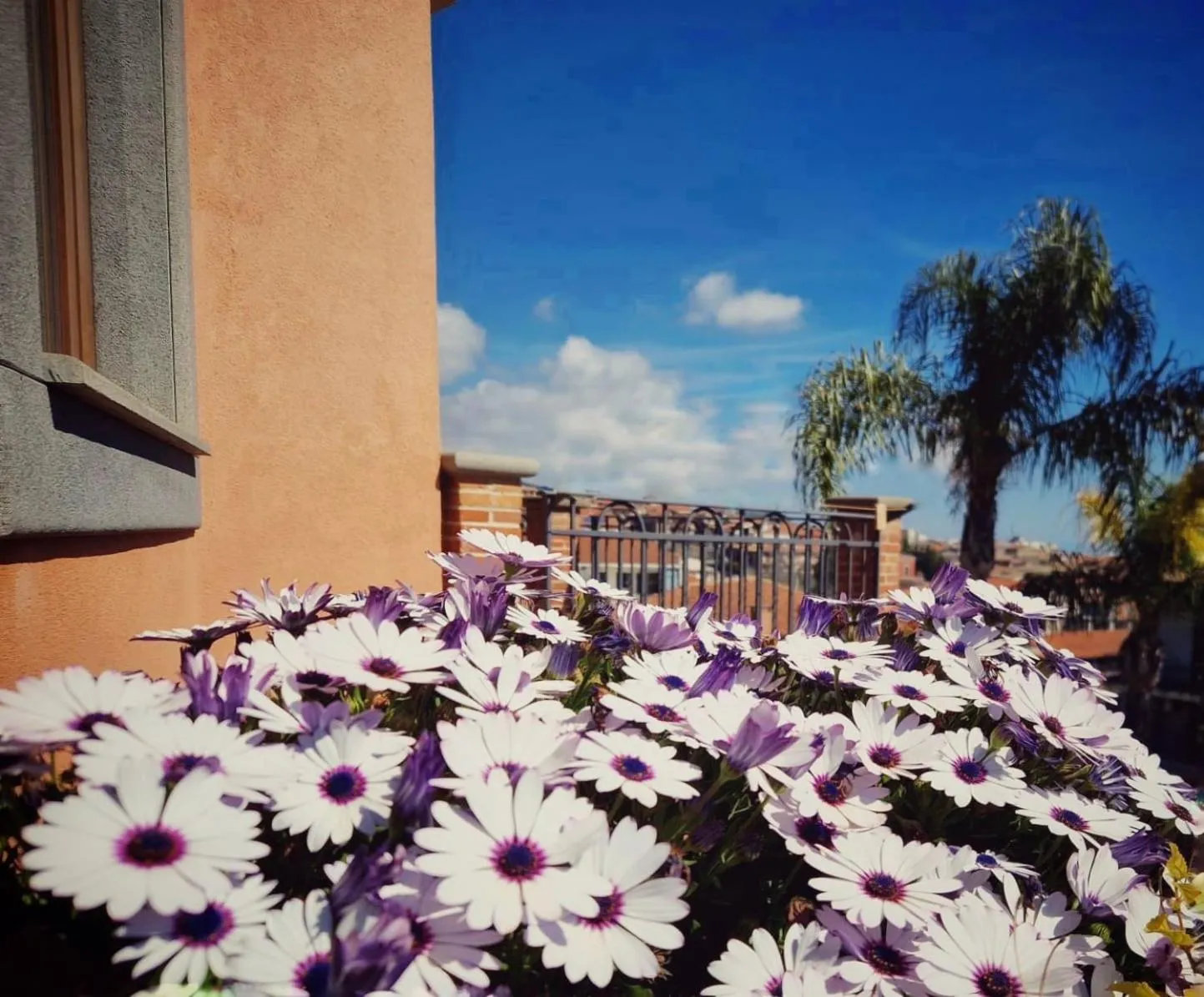 Property building in Villa Hirschen