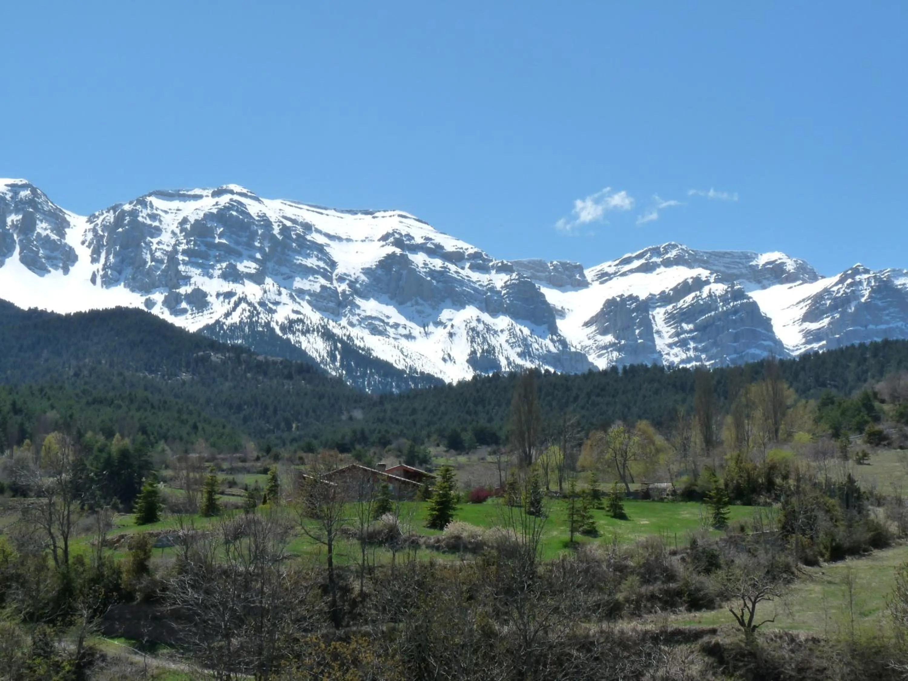 Spring in Fonda Biayna