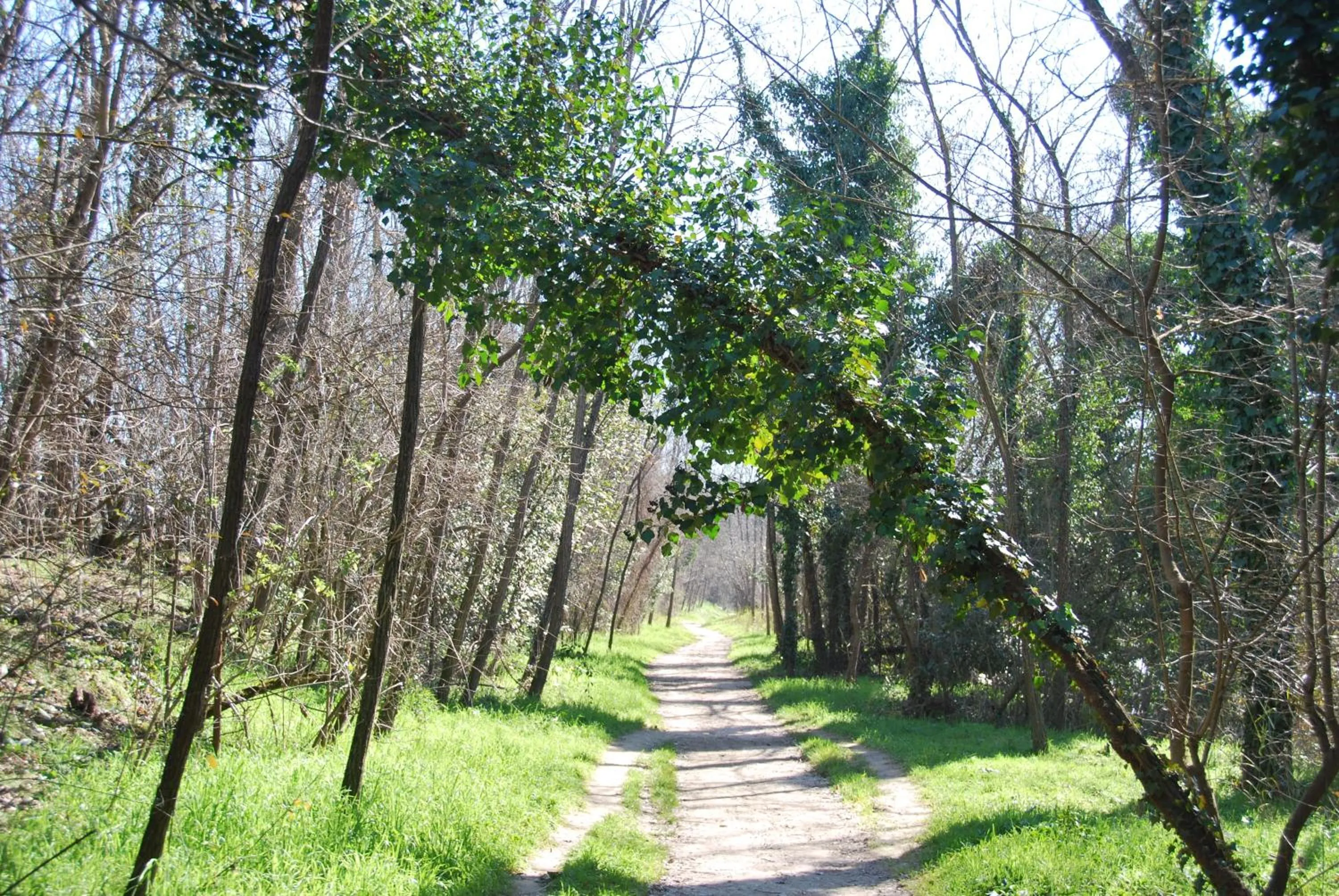 Natural landscape in B&B Percorso Verde