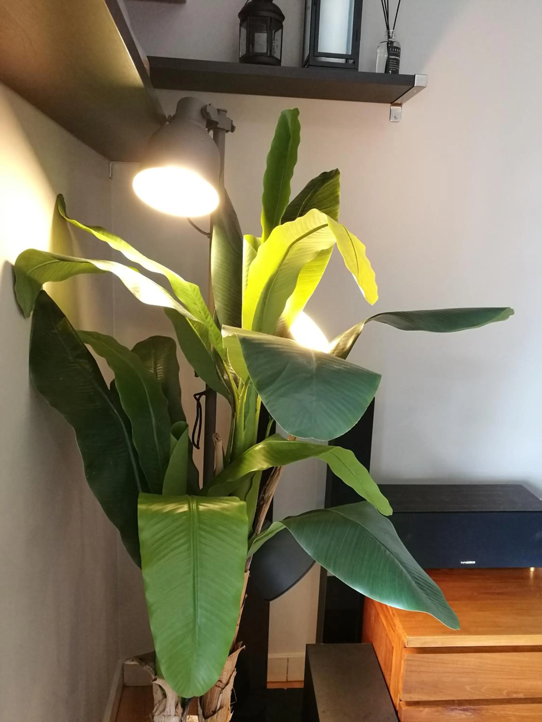 Communal lounge/ TV room in The Loft at Midhills Genting Highlands Free WiFi