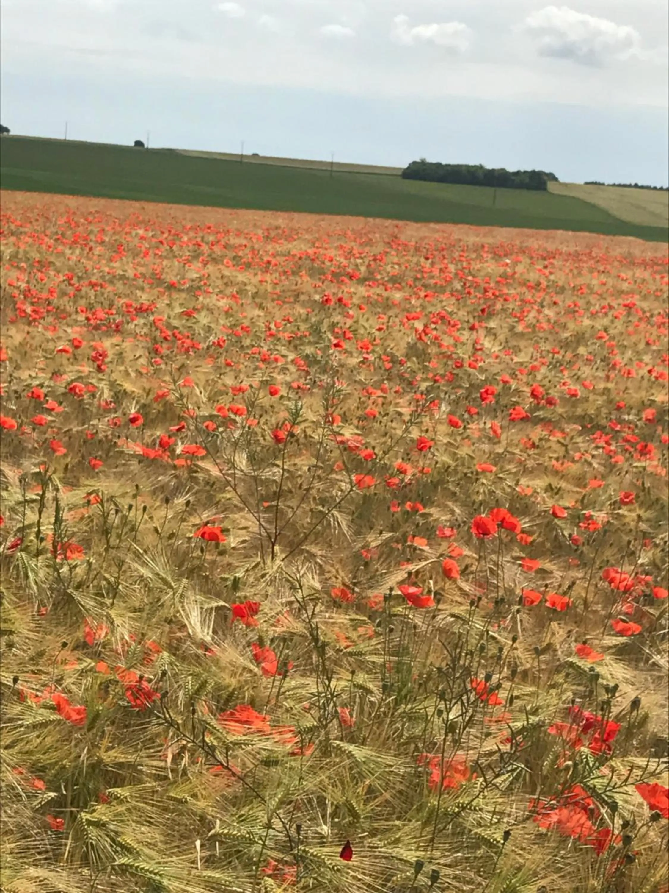 Property building in Lagalerne