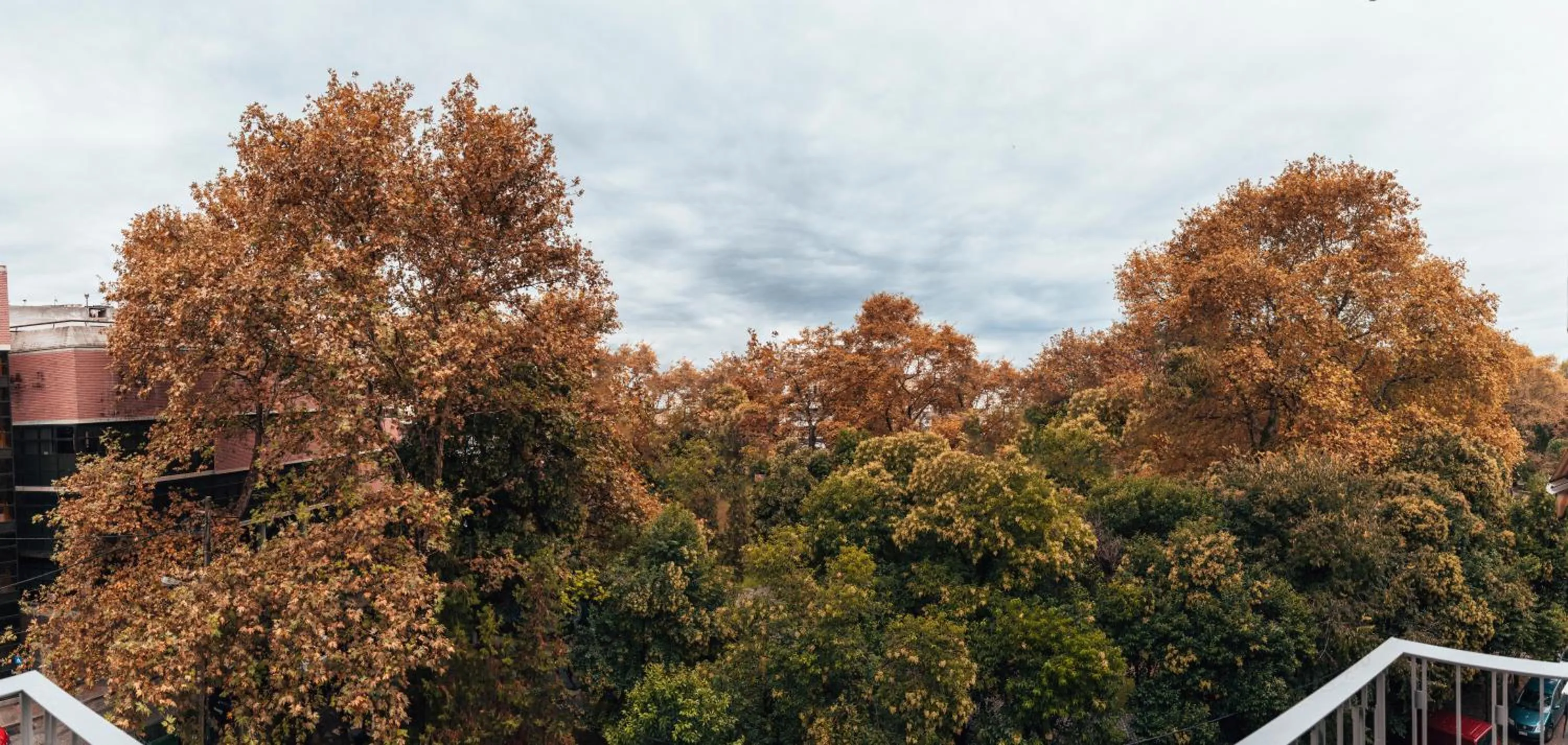 Natural landscape in Aya Hotel
