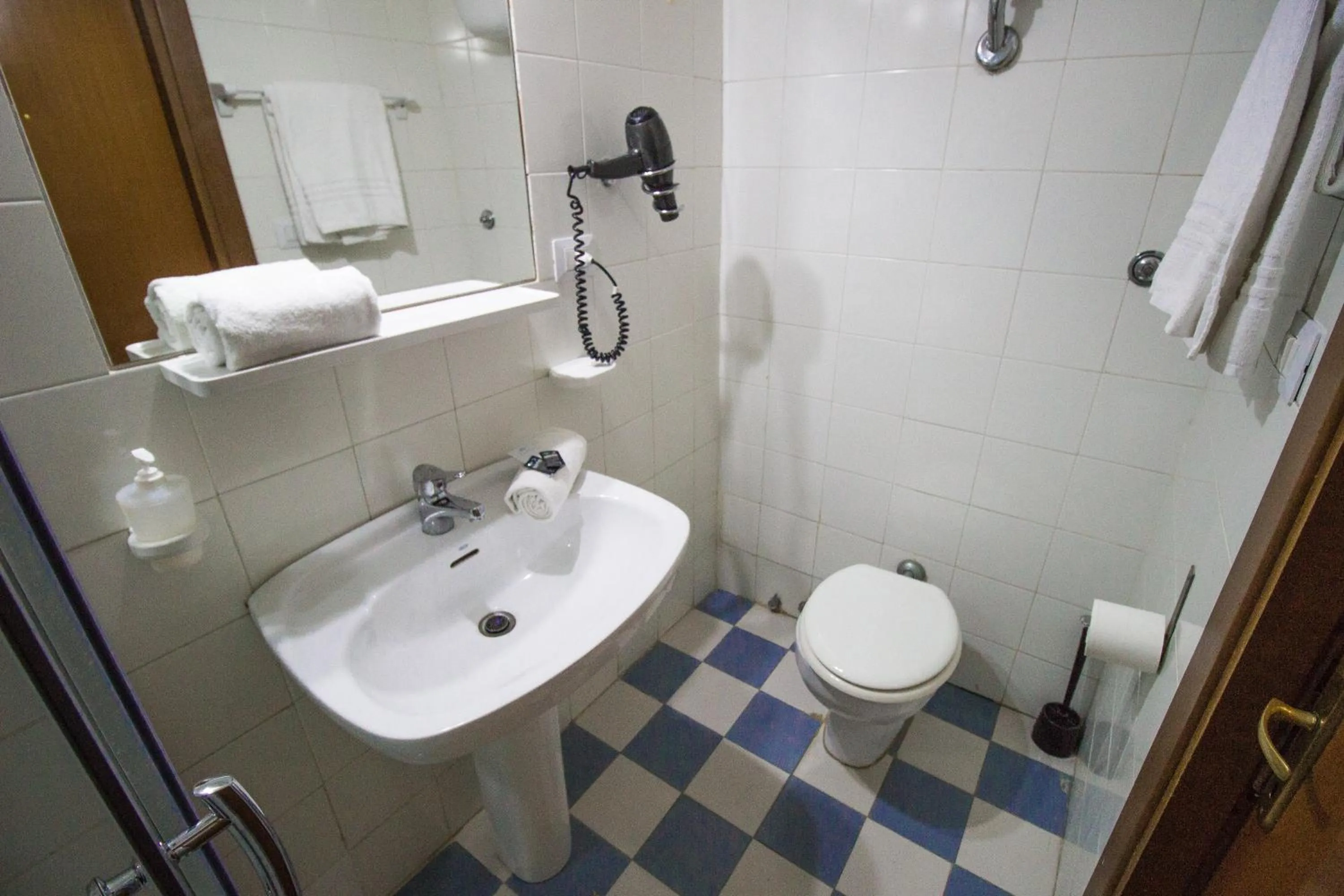 Bathroom in Aquarium Termini