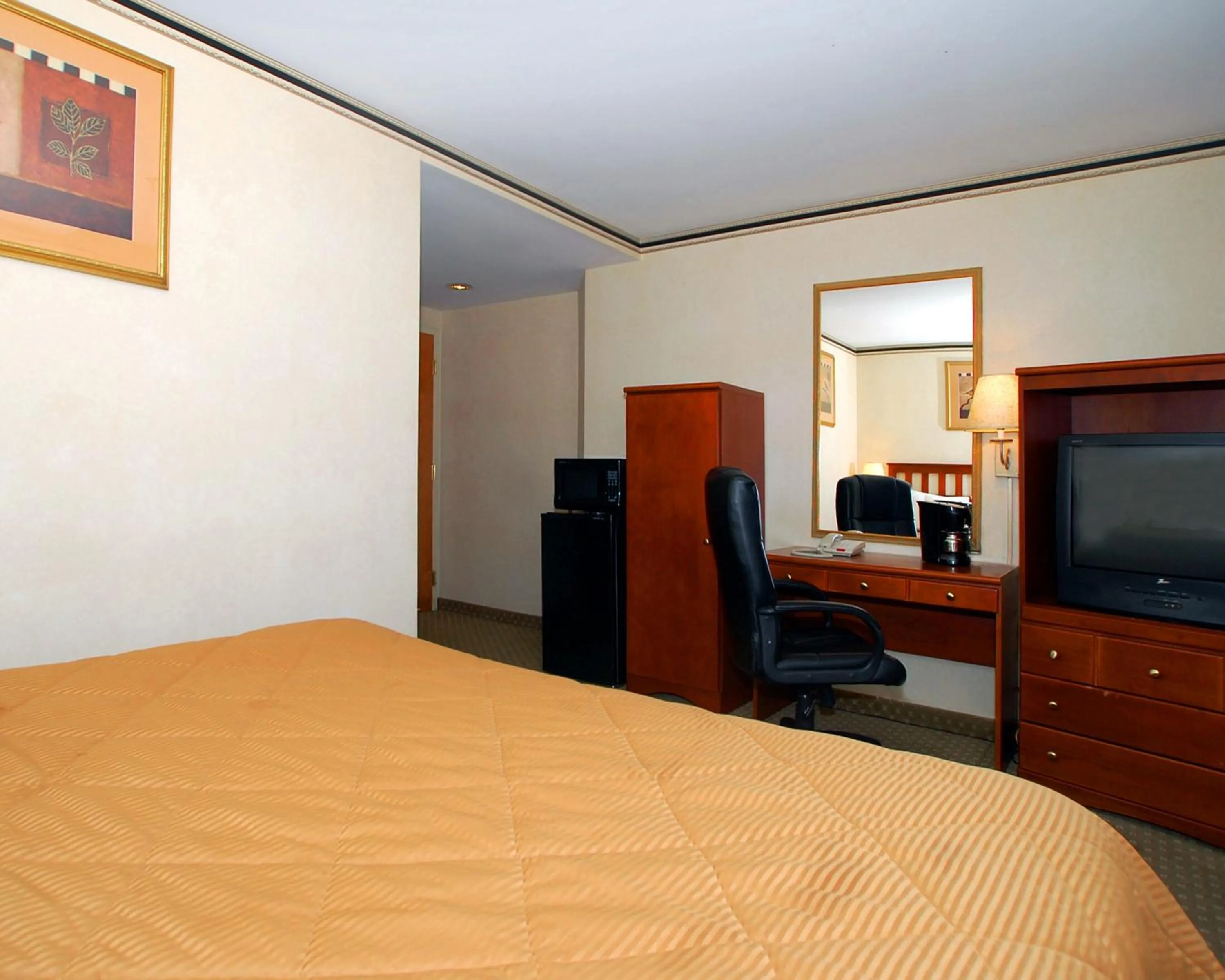Bedroom, TV/Entertainment Center in Red Lion Inn & Suites Long Island City