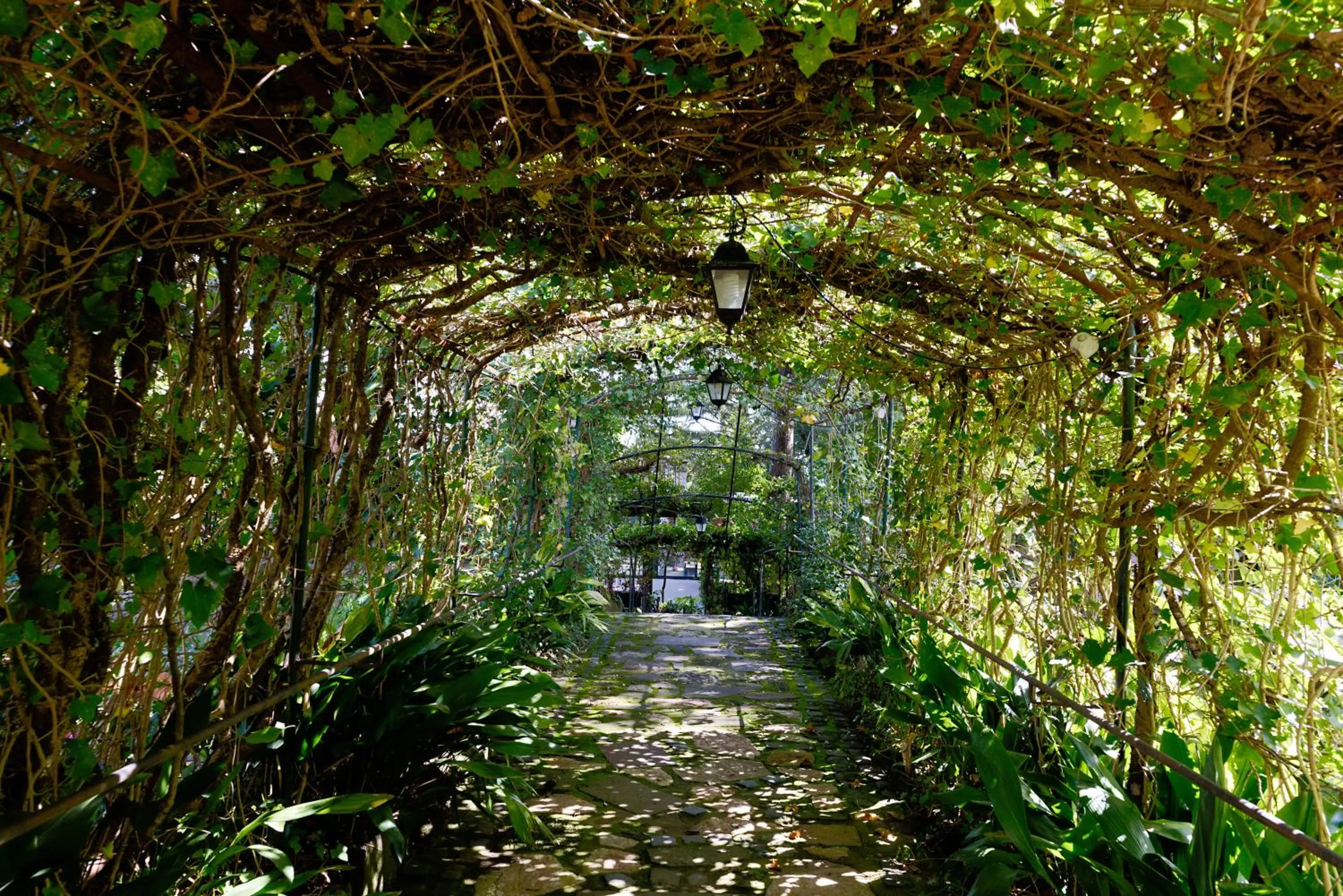 La Canonica - Villa Venturini Fendi