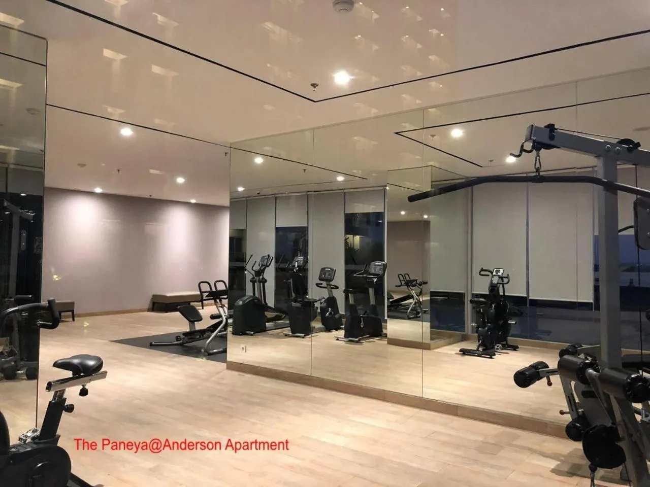 Fitness centre/facilities in The Paneya@Anderson Apartment