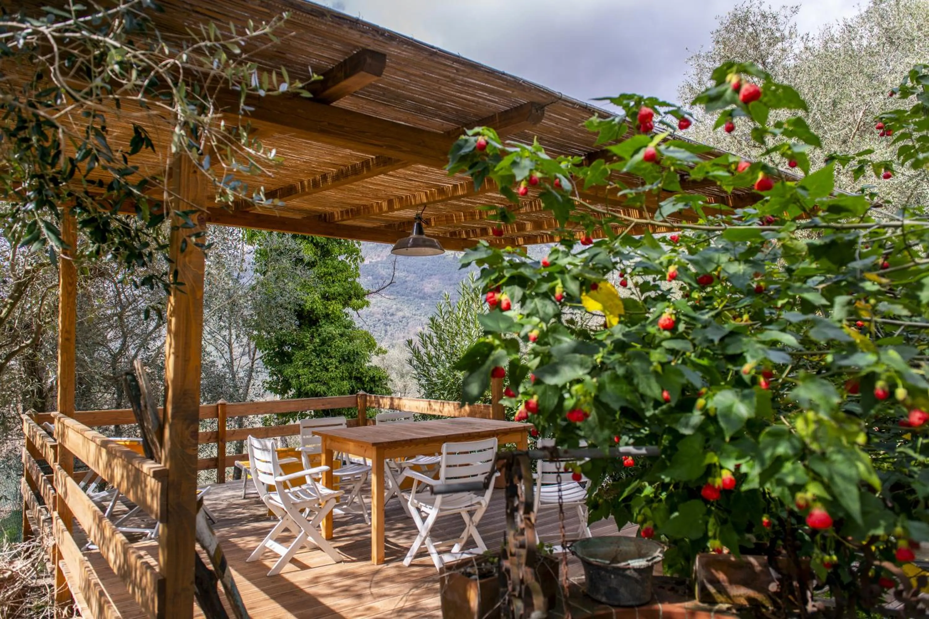 Garden in Casa Del Sole