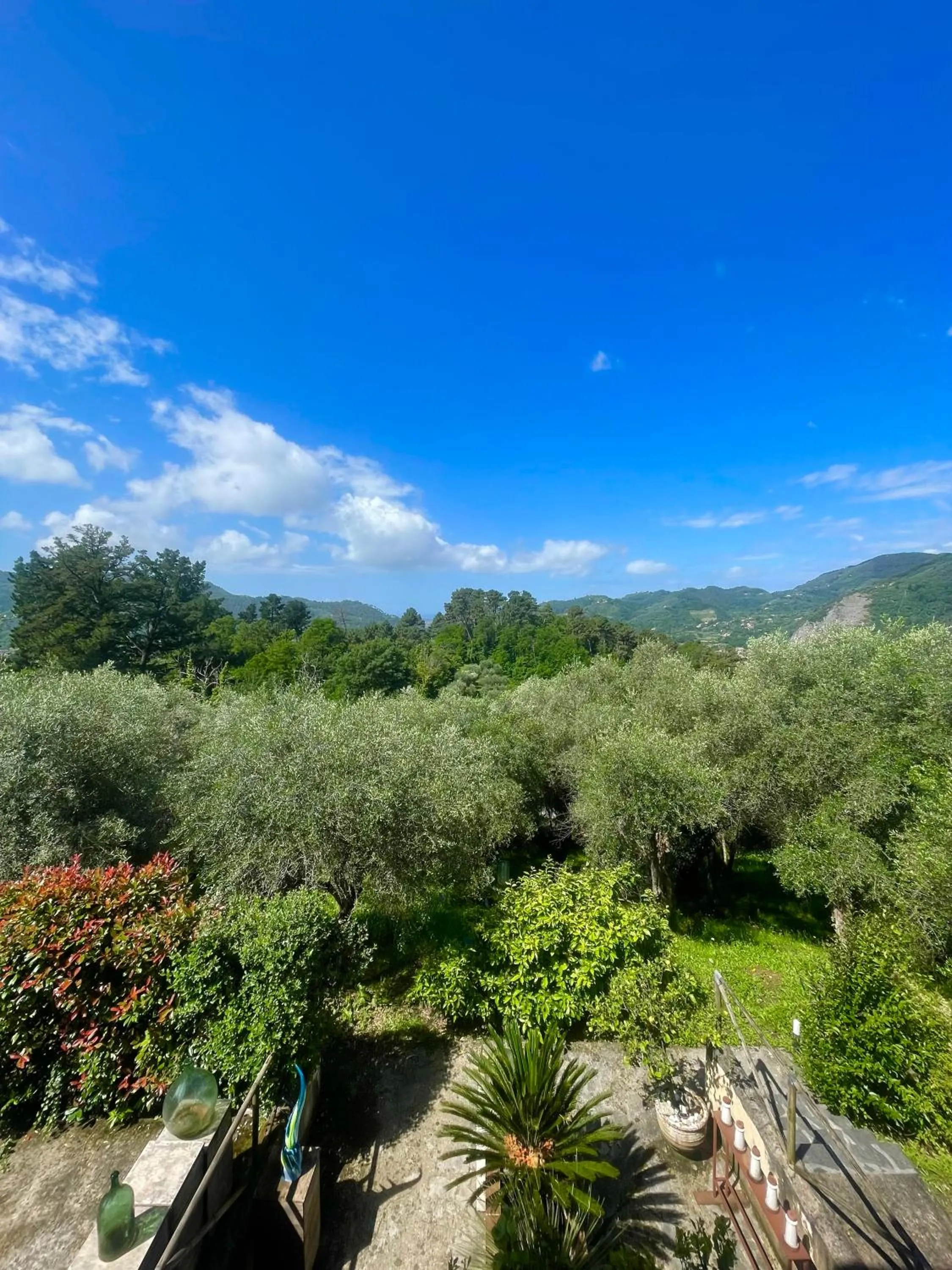 Natural landscape in Casa Del Sole