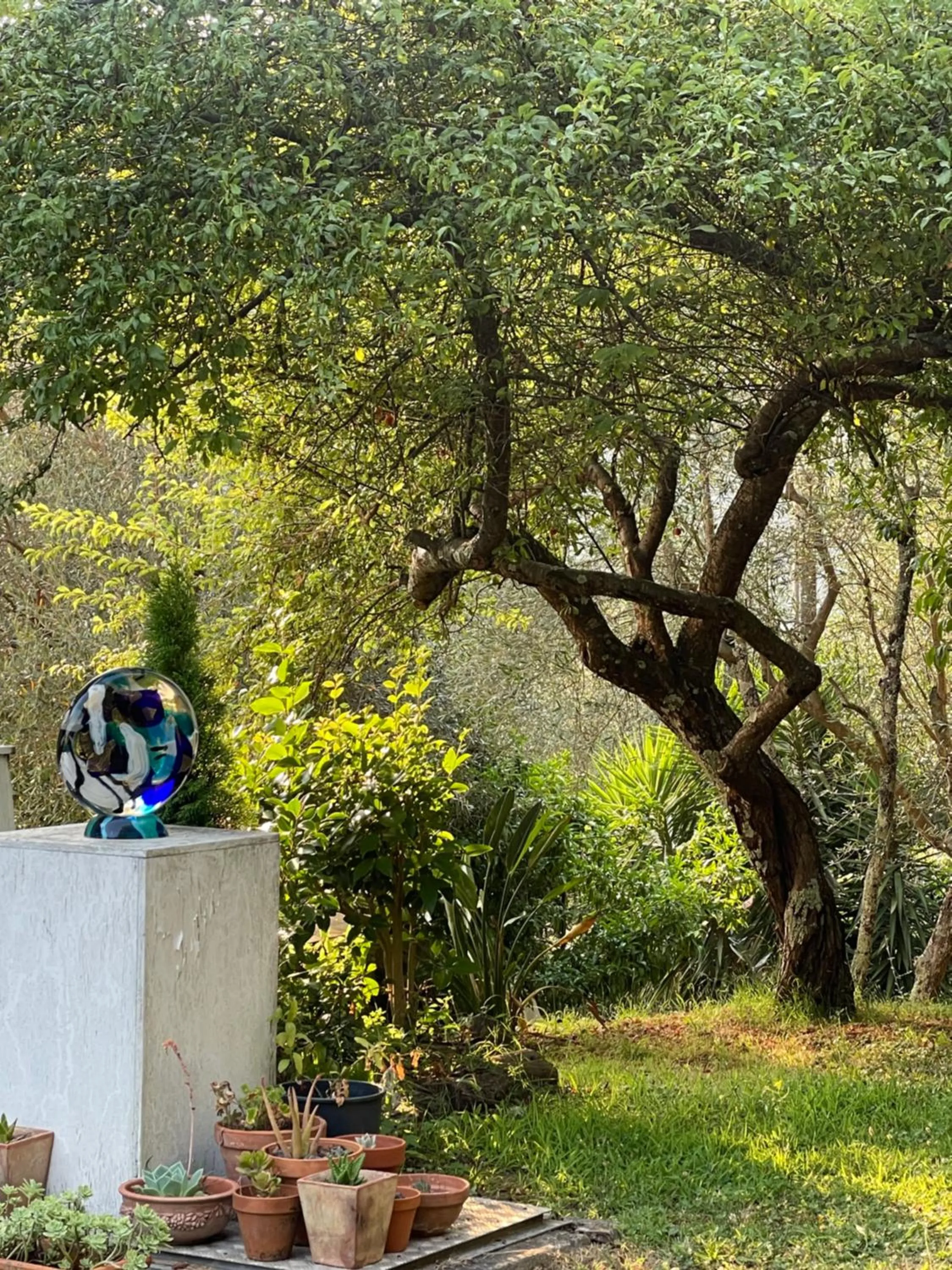 Garden in Casa Del Sole