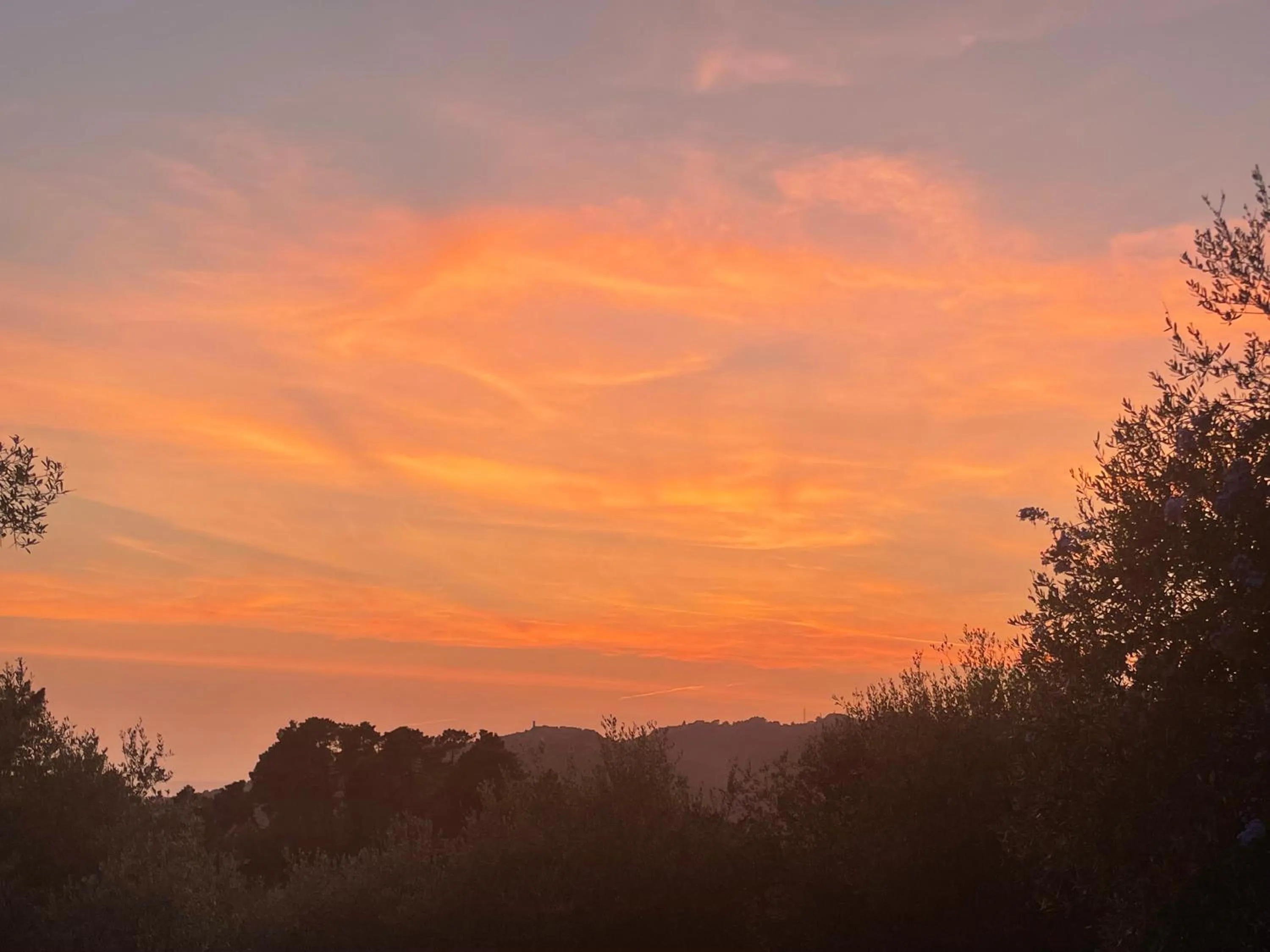 Garden view in Casa Del Sole