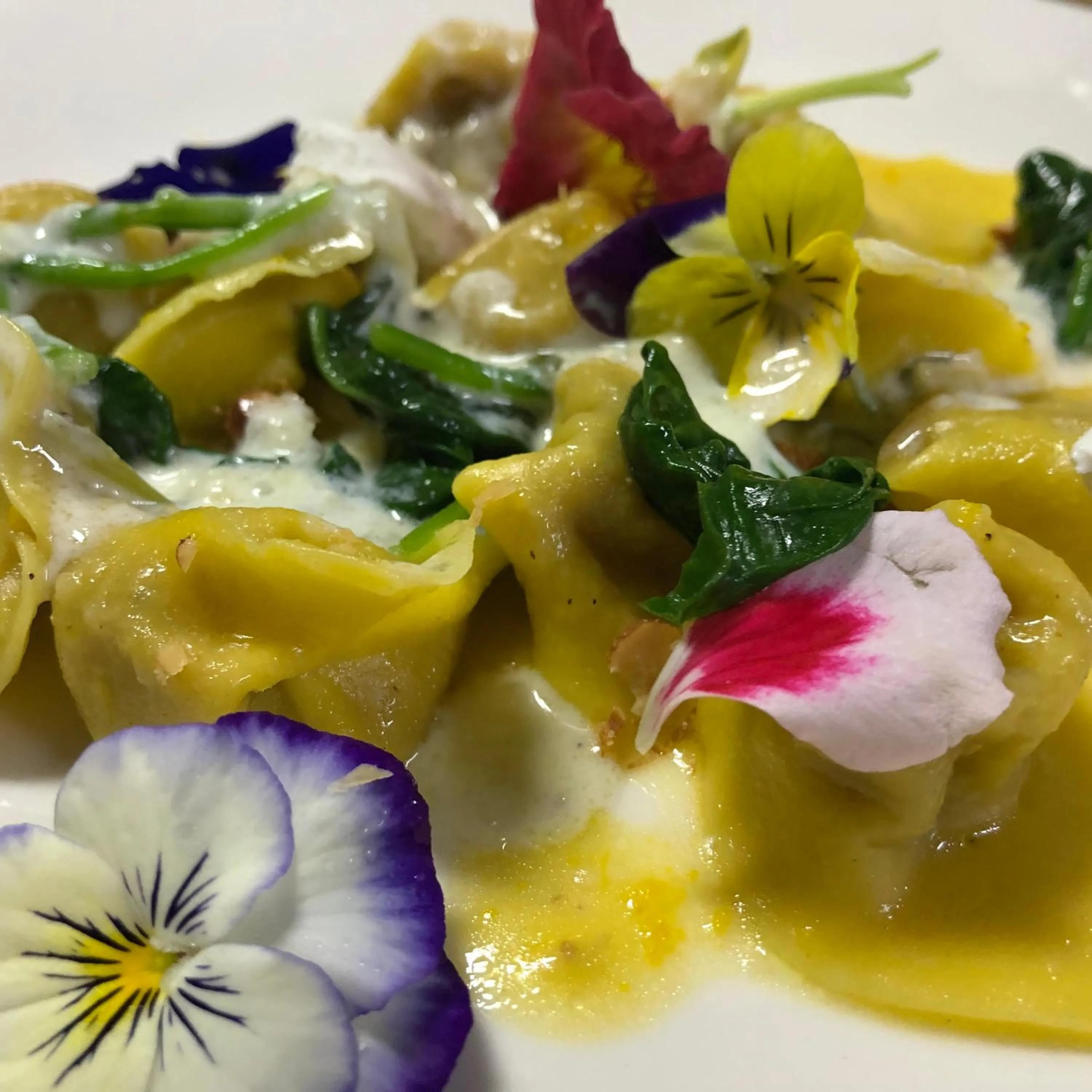 Kumano Winery Guest House