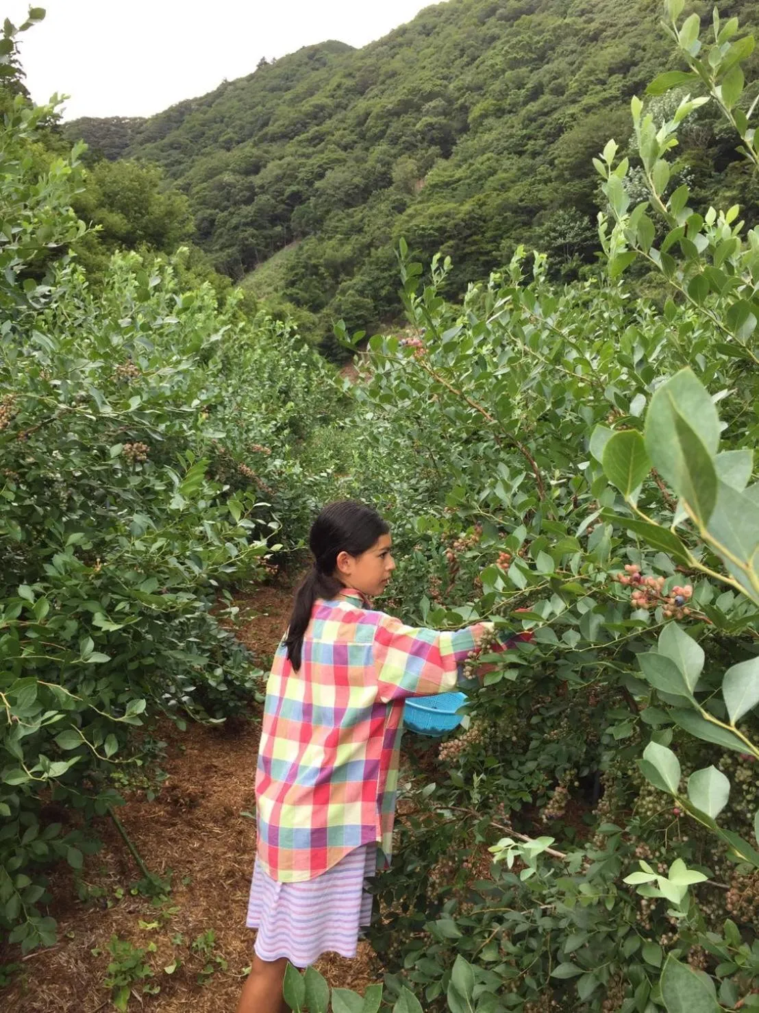 Kumano Winery Guest House