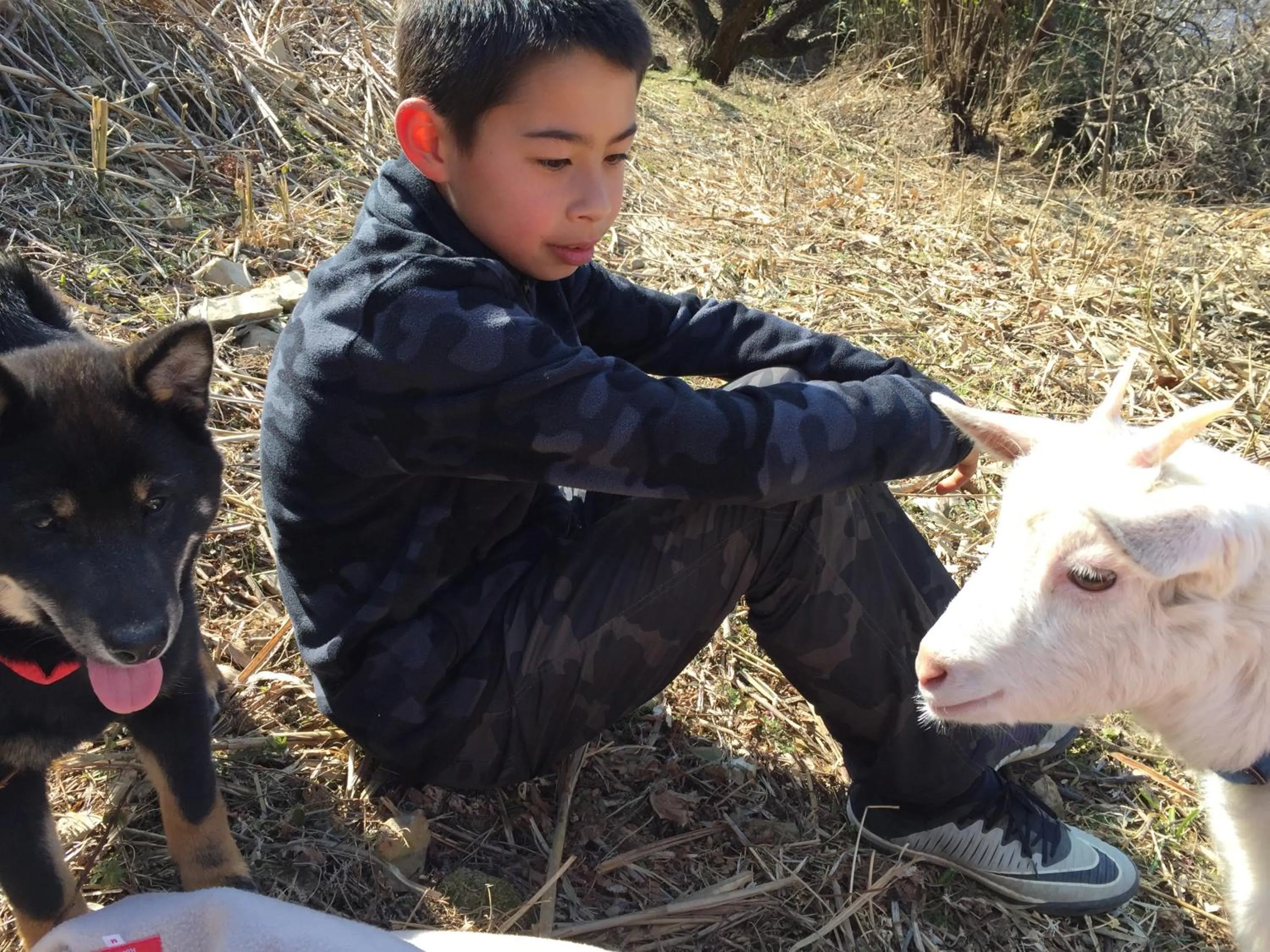 Kumano Winery Guest House