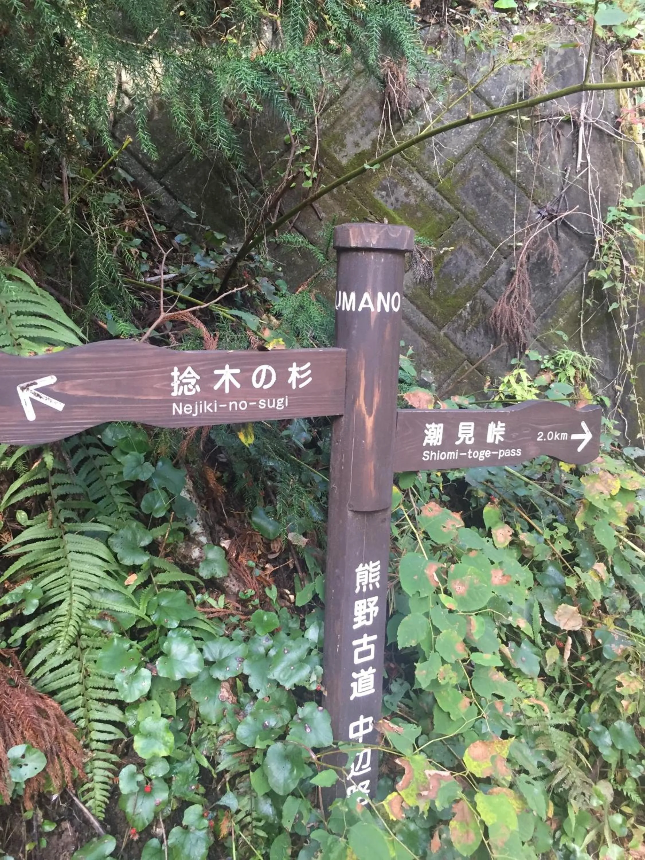 Nearby landmark in Kumano Winery Guest House