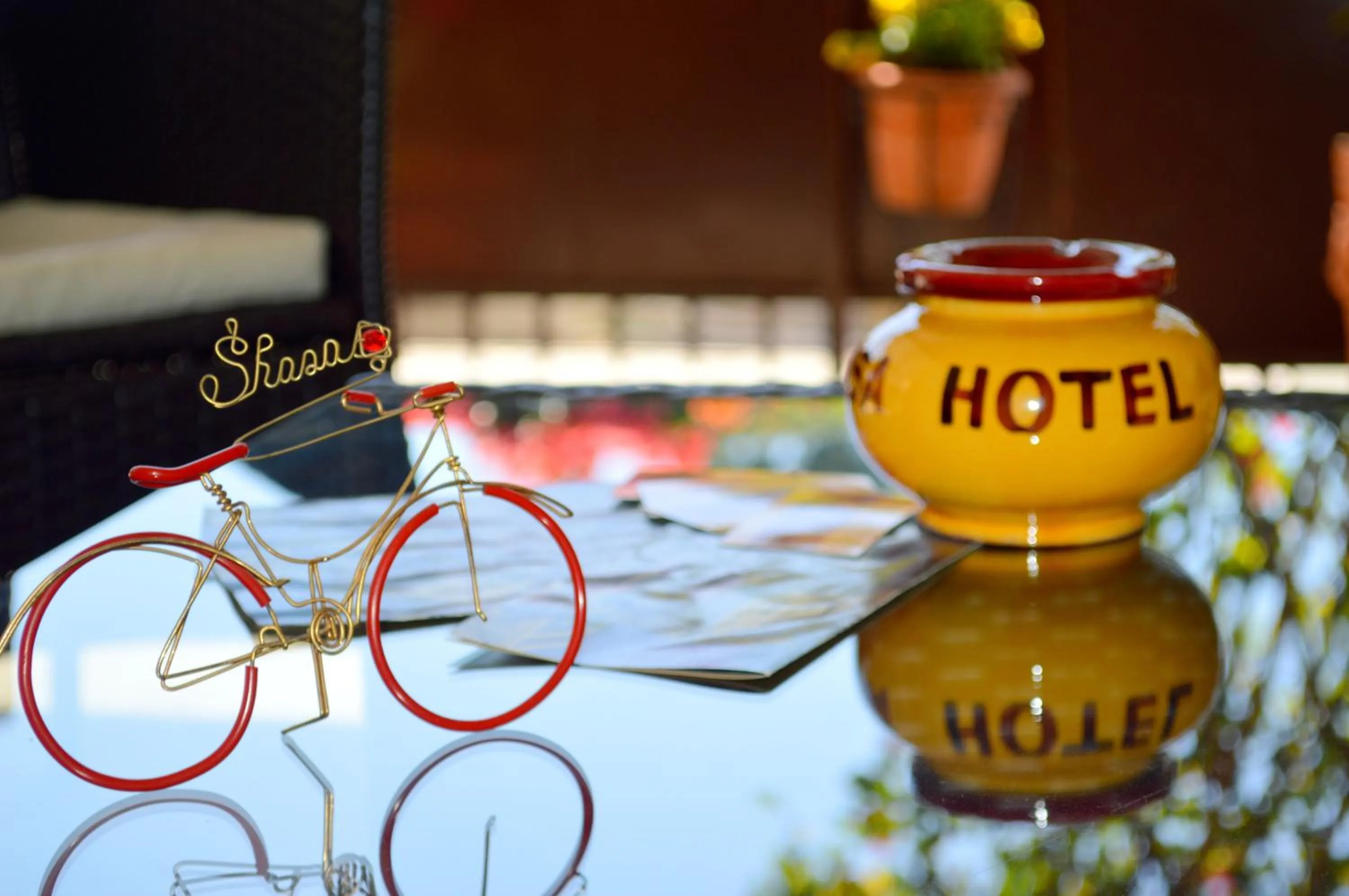 Other in Hotel Shasa