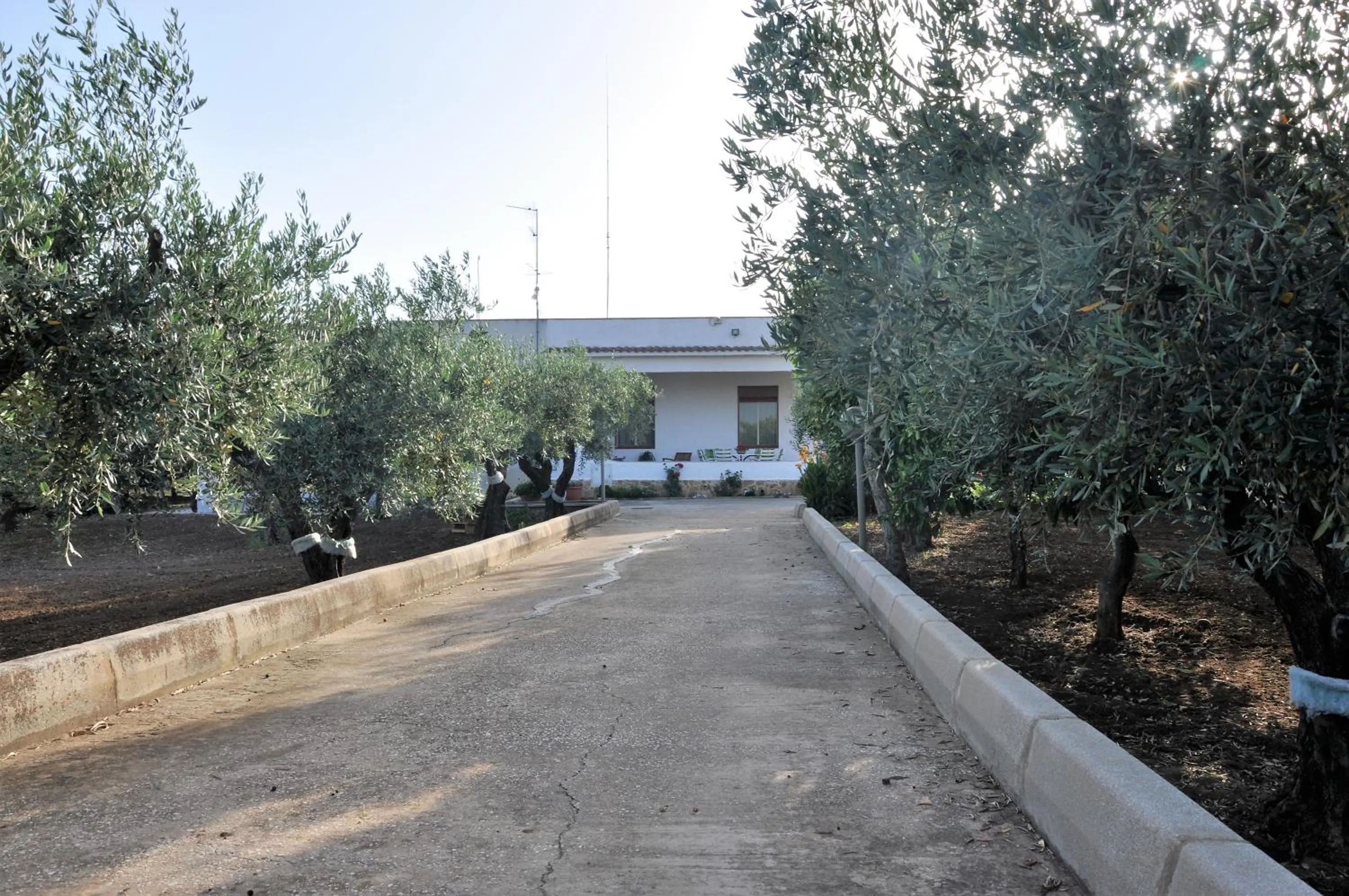 Facade/entrance in Santa Teresa