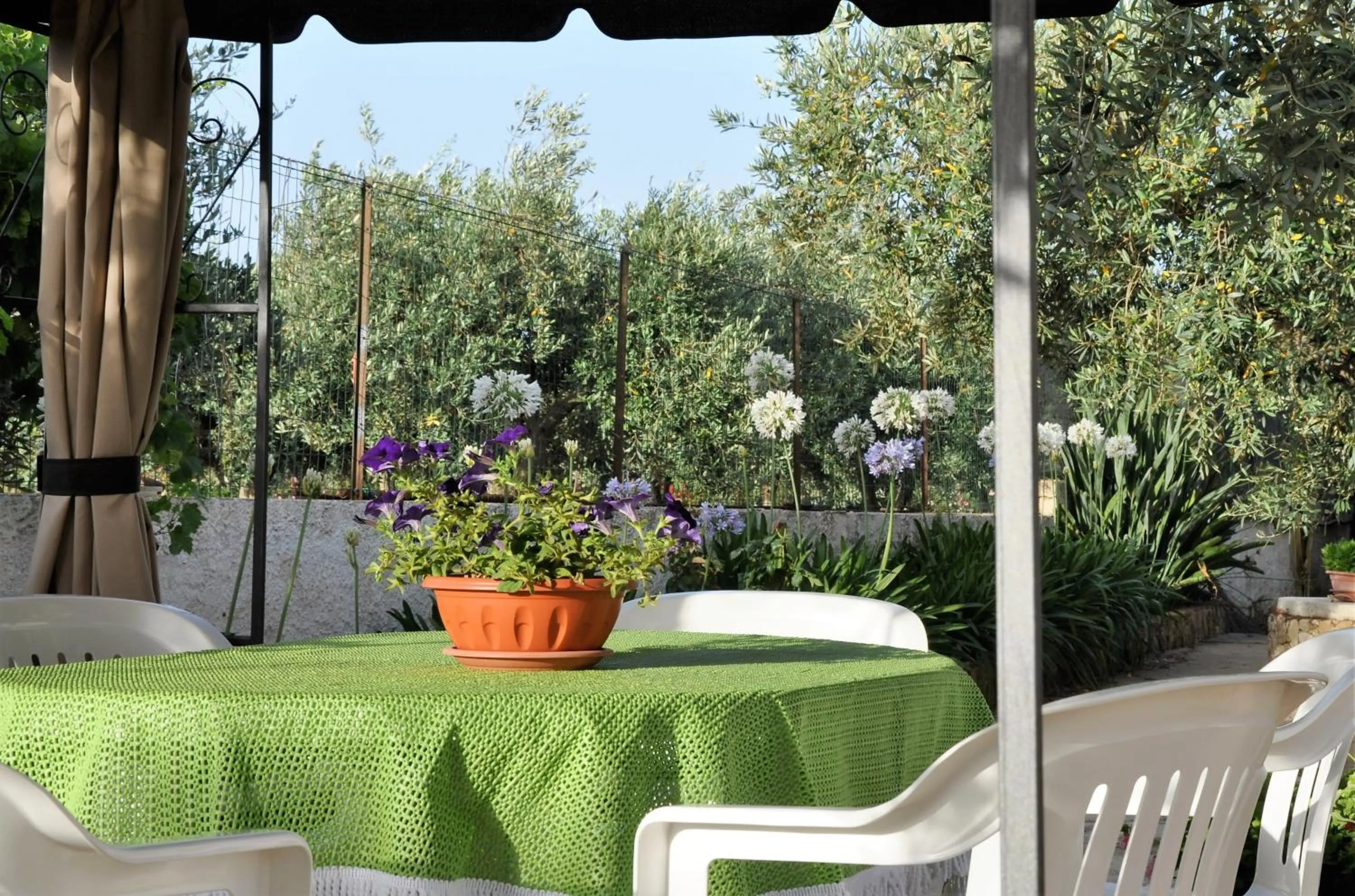 Garden in Santa Teresa