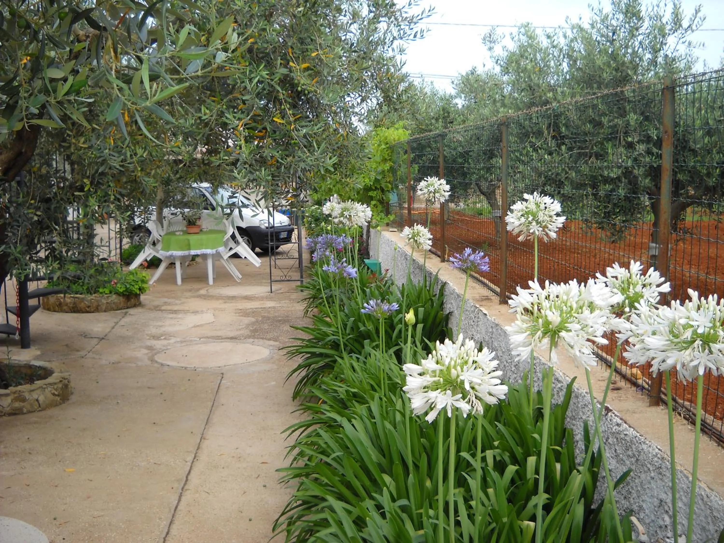 Garden in Santa Teresa