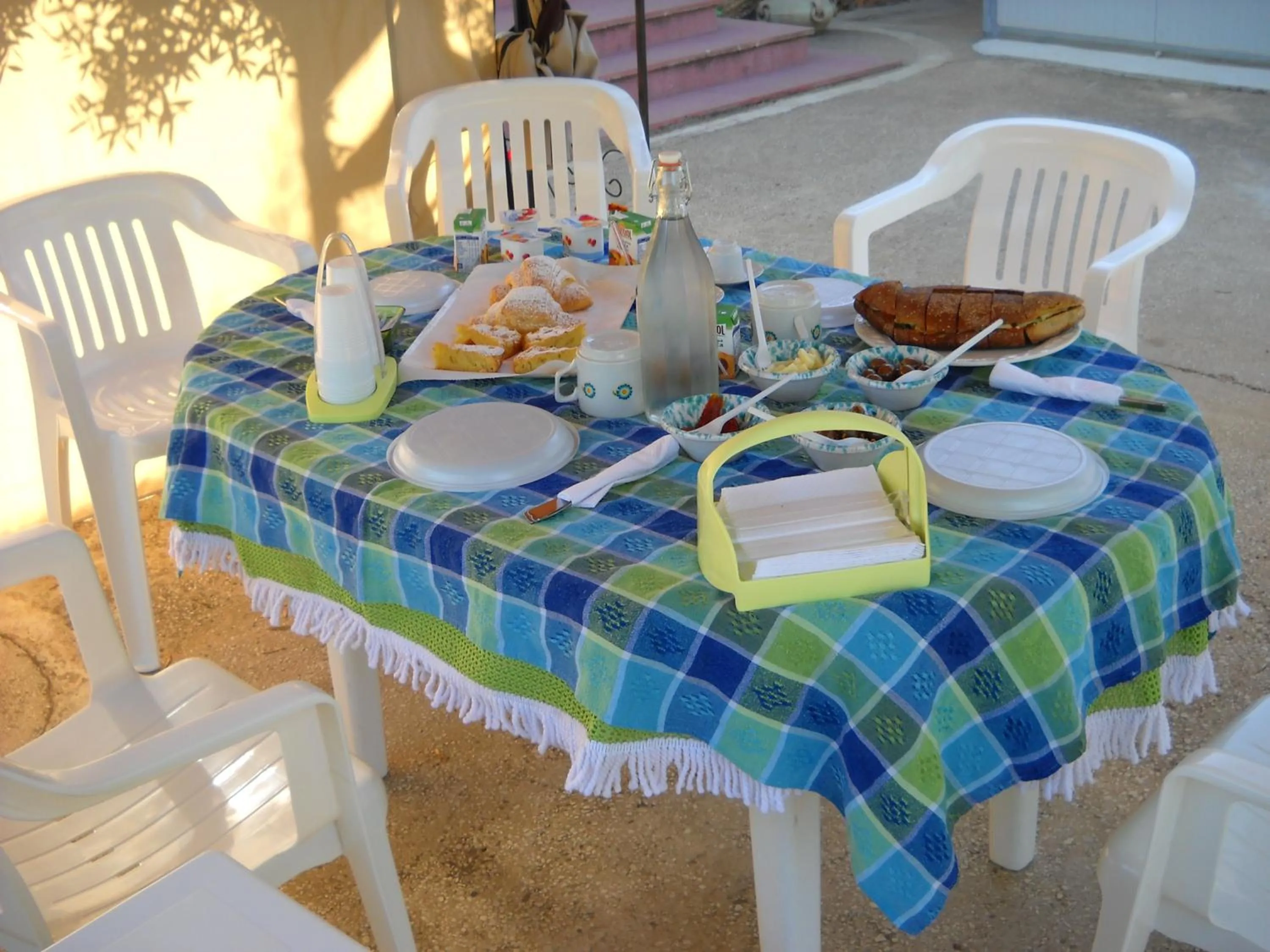 Garden in Santa Teresa