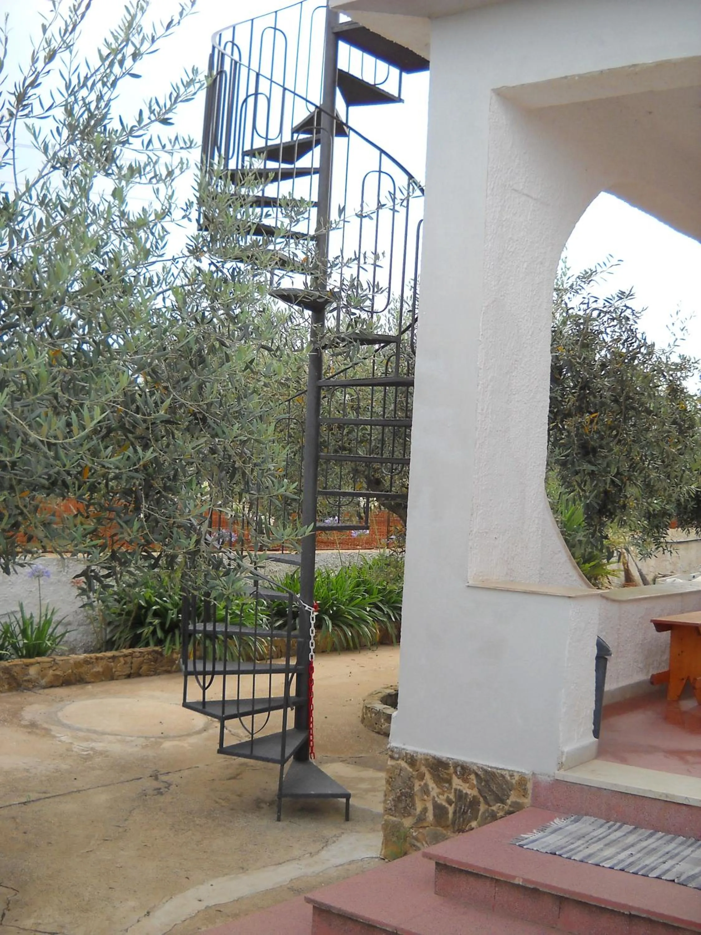 Garden in Santa Teresa