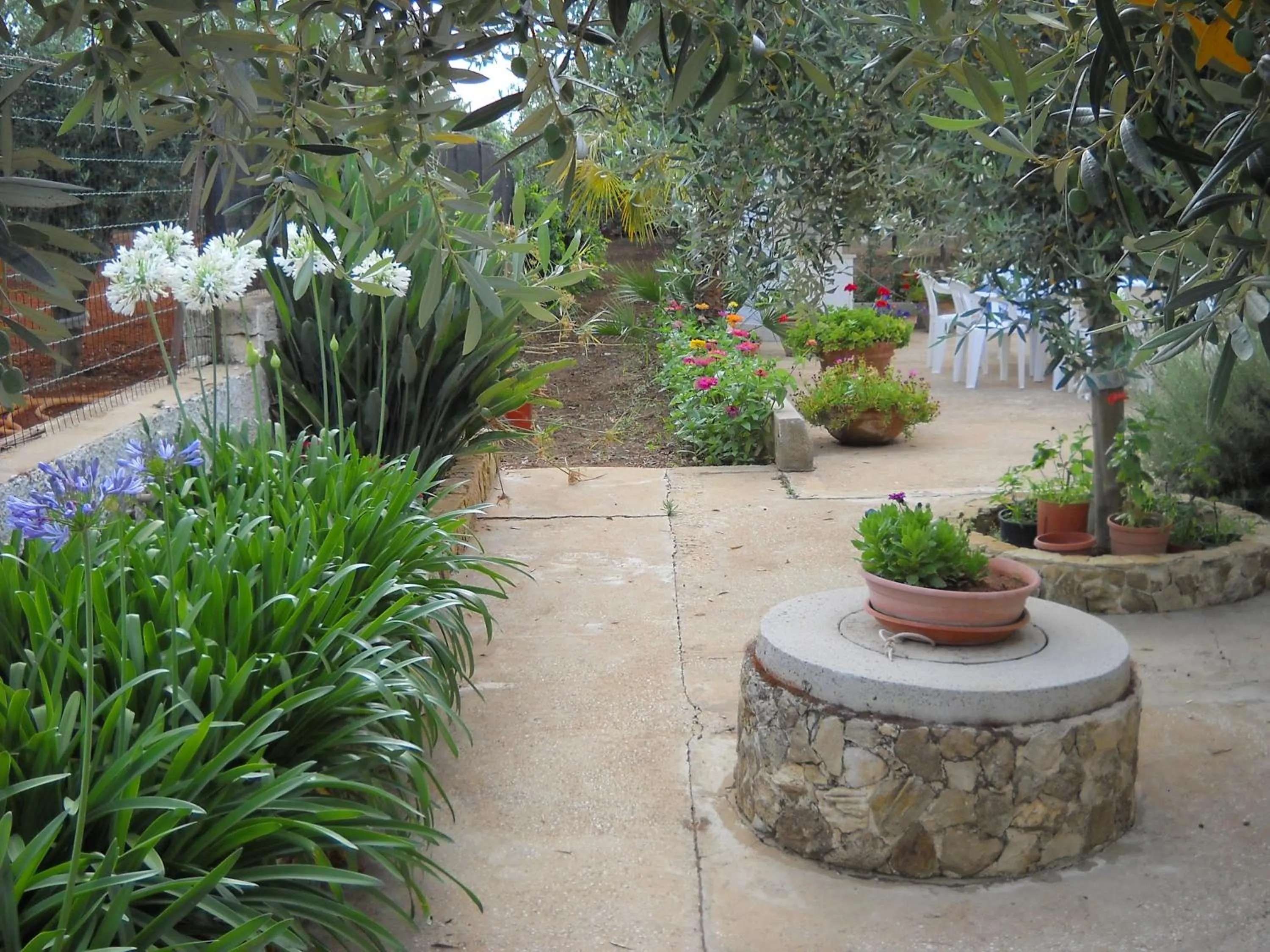 Garden in Santa Teresa