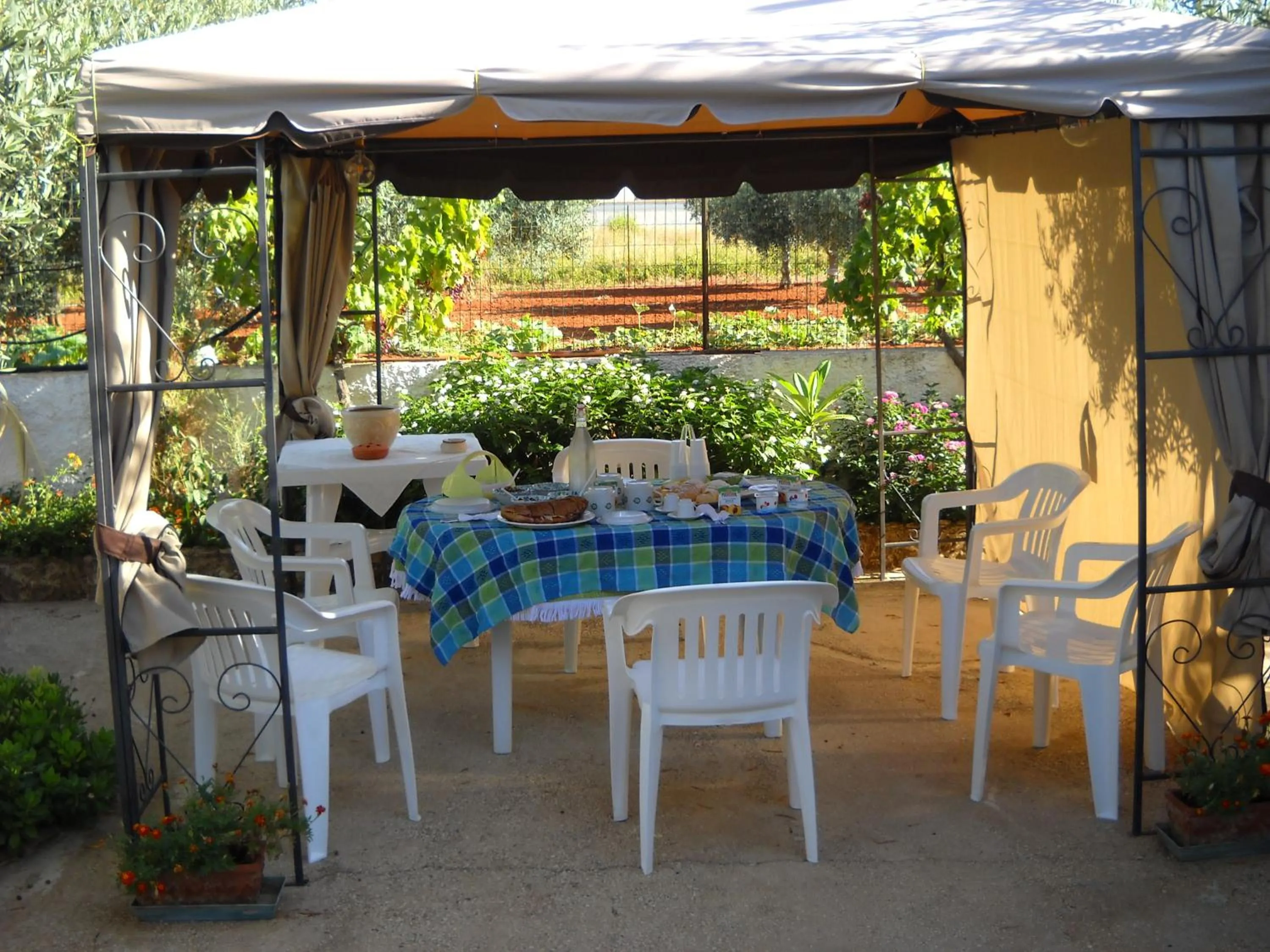 Garden in Santa Teresa