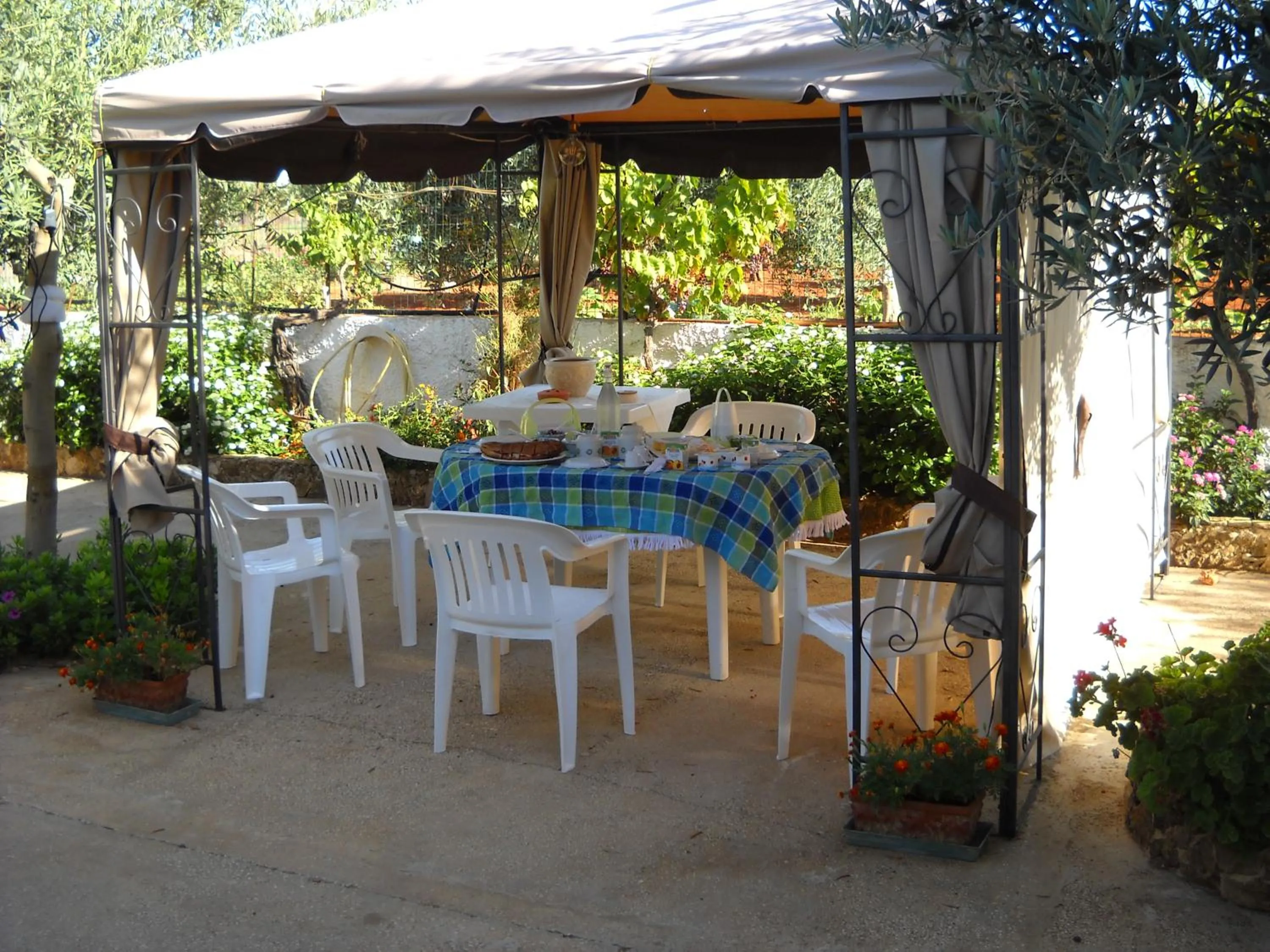 Garden in Santa Teresa