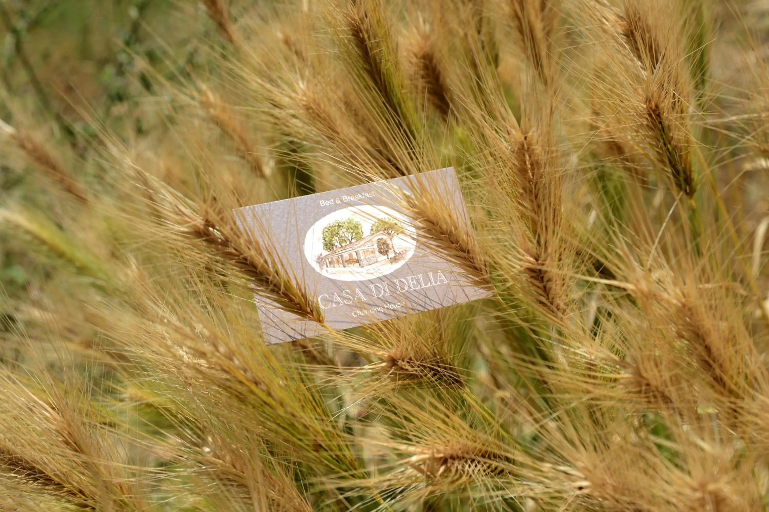 Decorative detail in A Casa Di Delia B&B Charming House