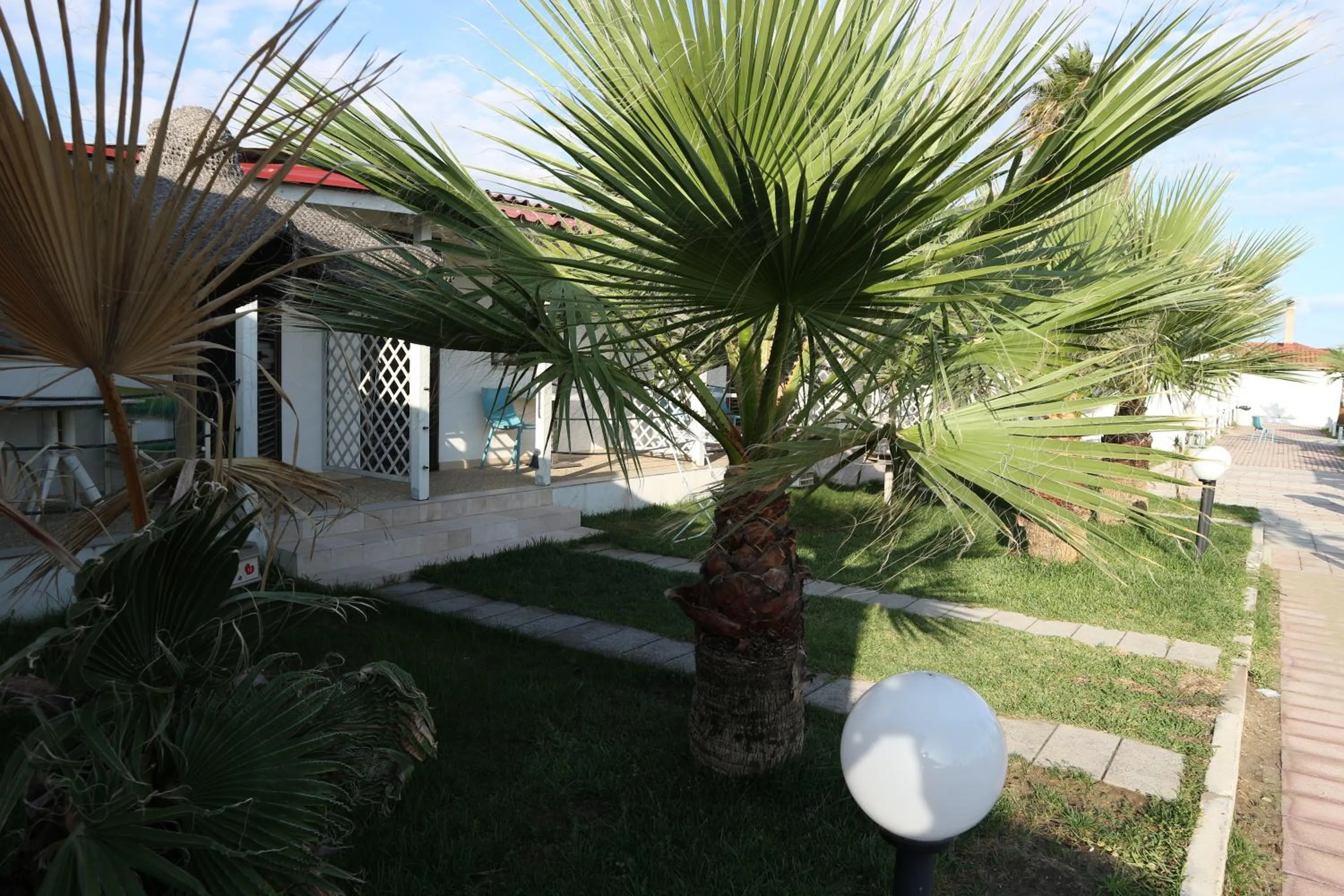 Garden in torquemada beach club