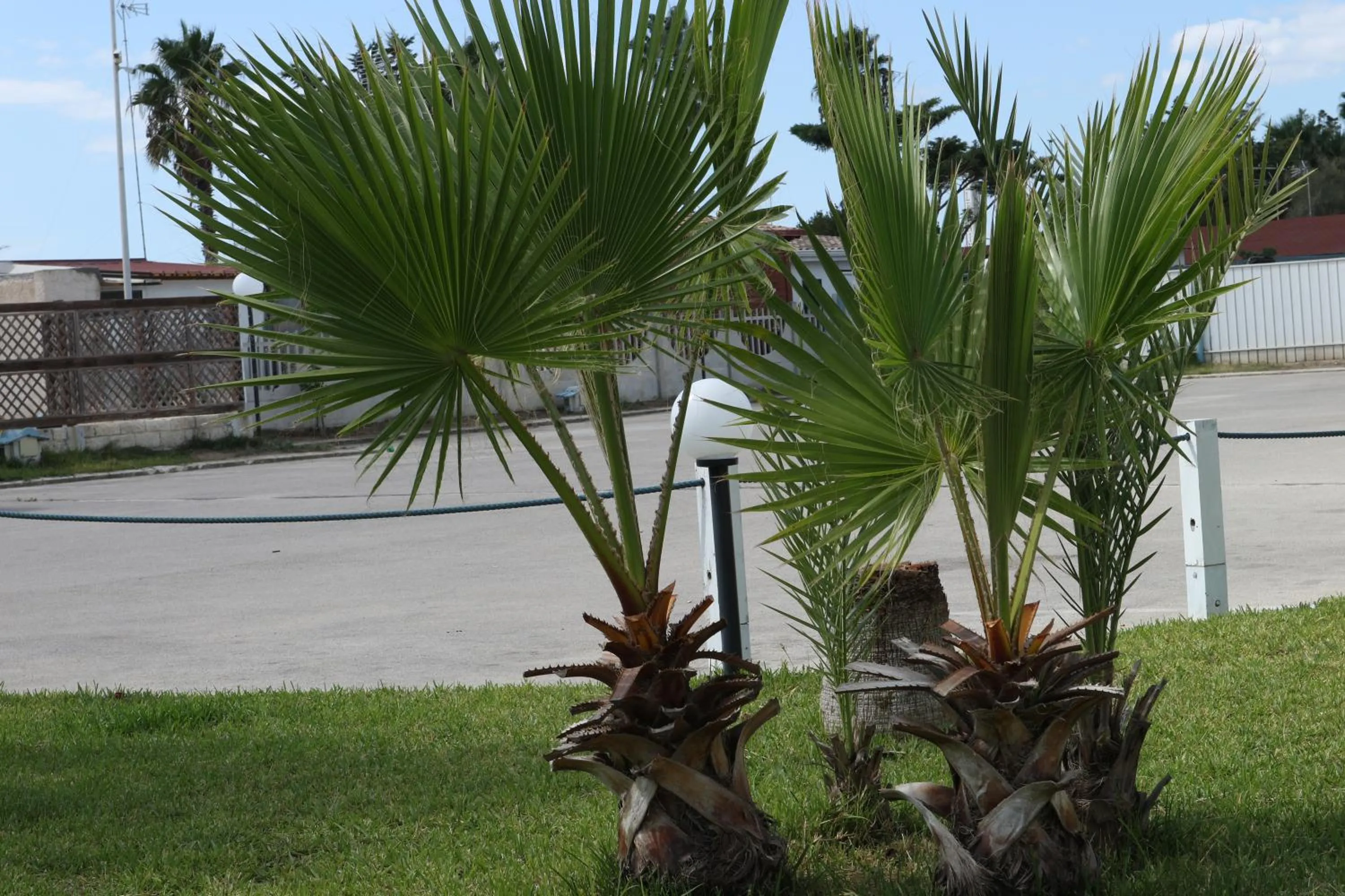 Garden in torquemada beach club