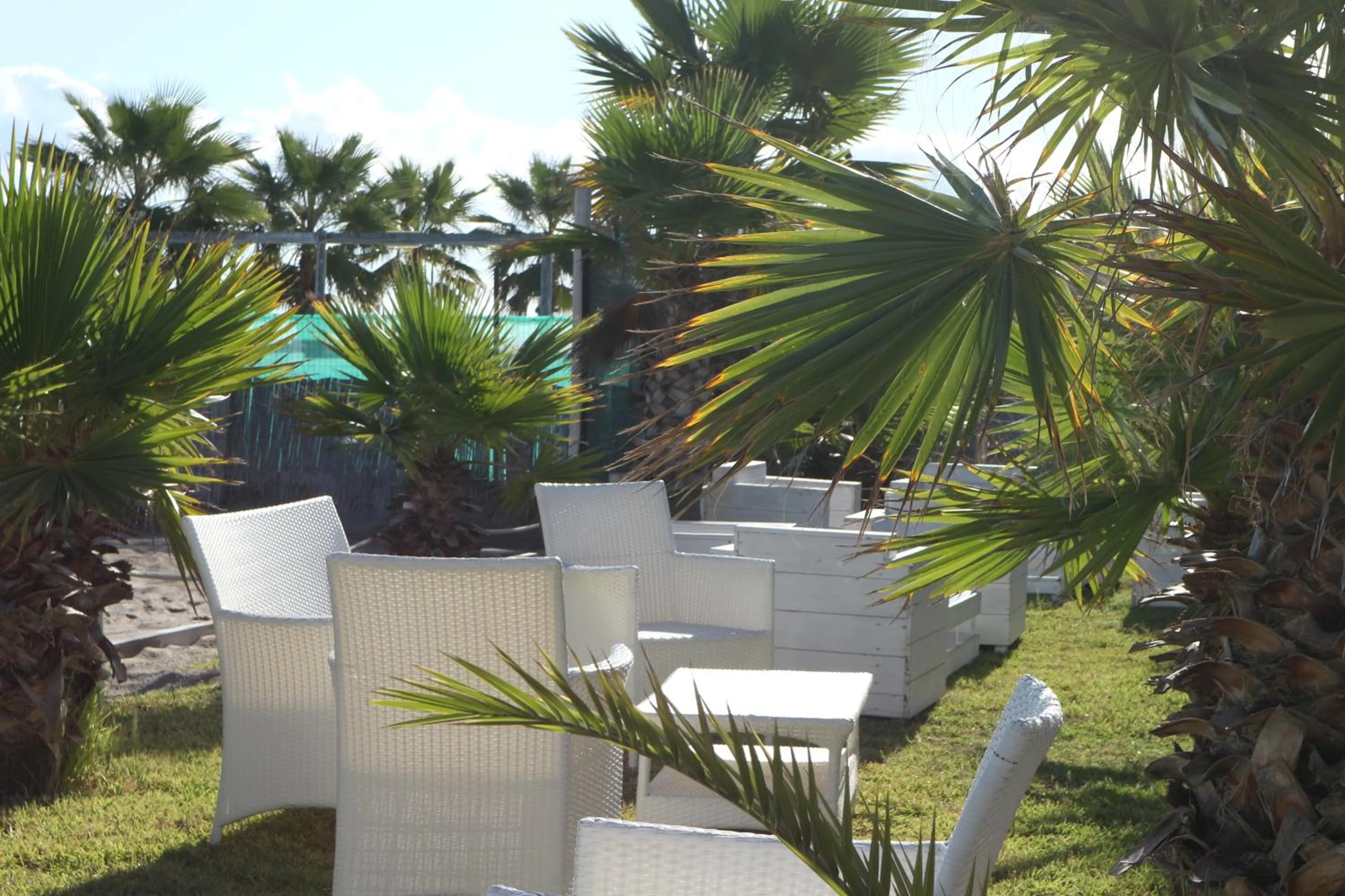 Garden in torquemada beach club