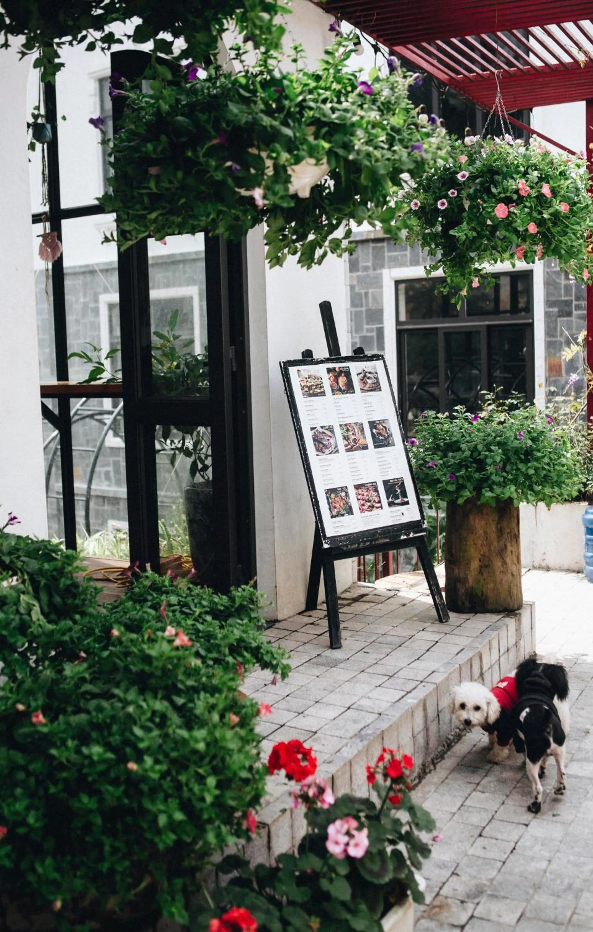 Le vent Tam Đảo homestay